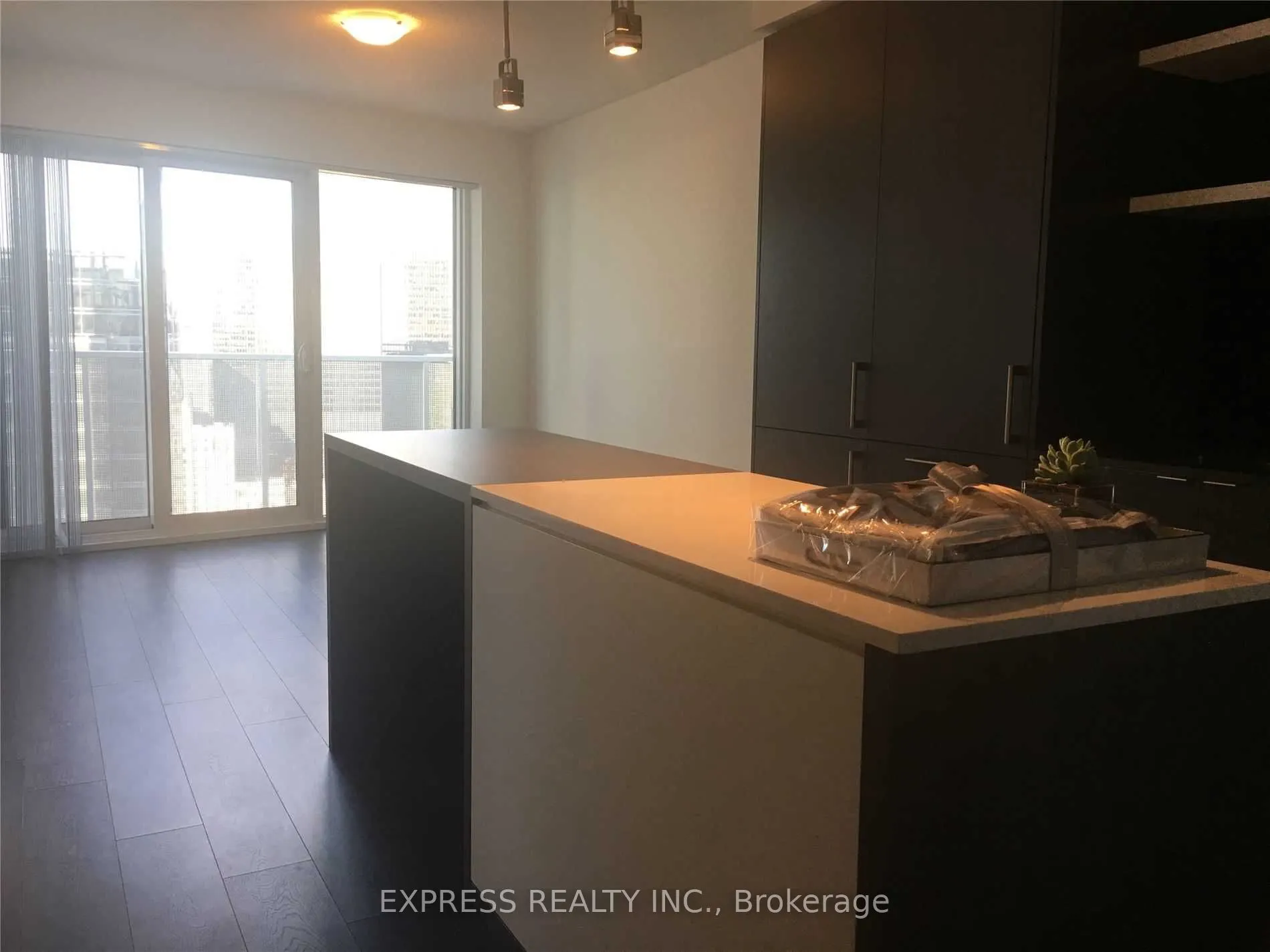 100 Harbour Street, #4103