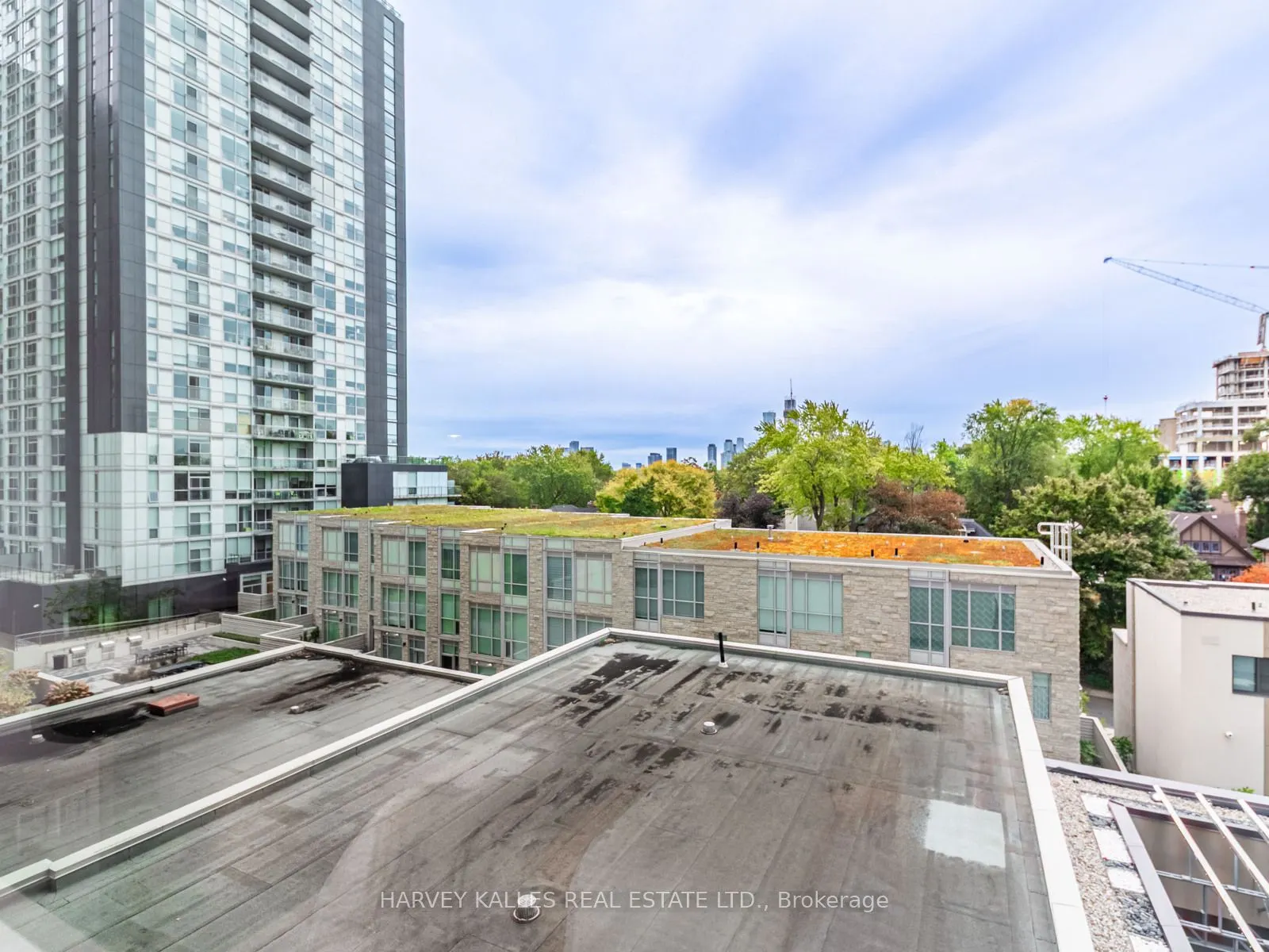 111 St Clair Avenue W, #419