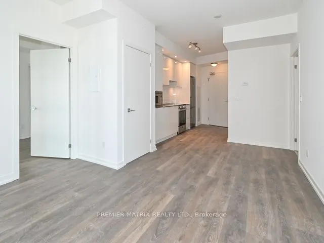 49 East Liberty Street, #1311