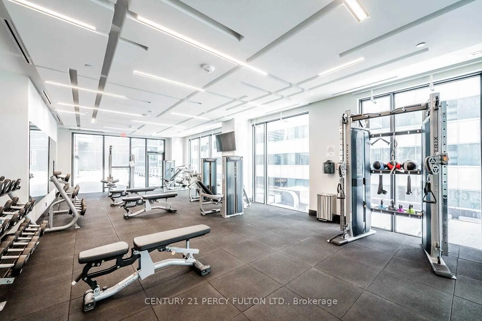 87 Peter Street, #4013