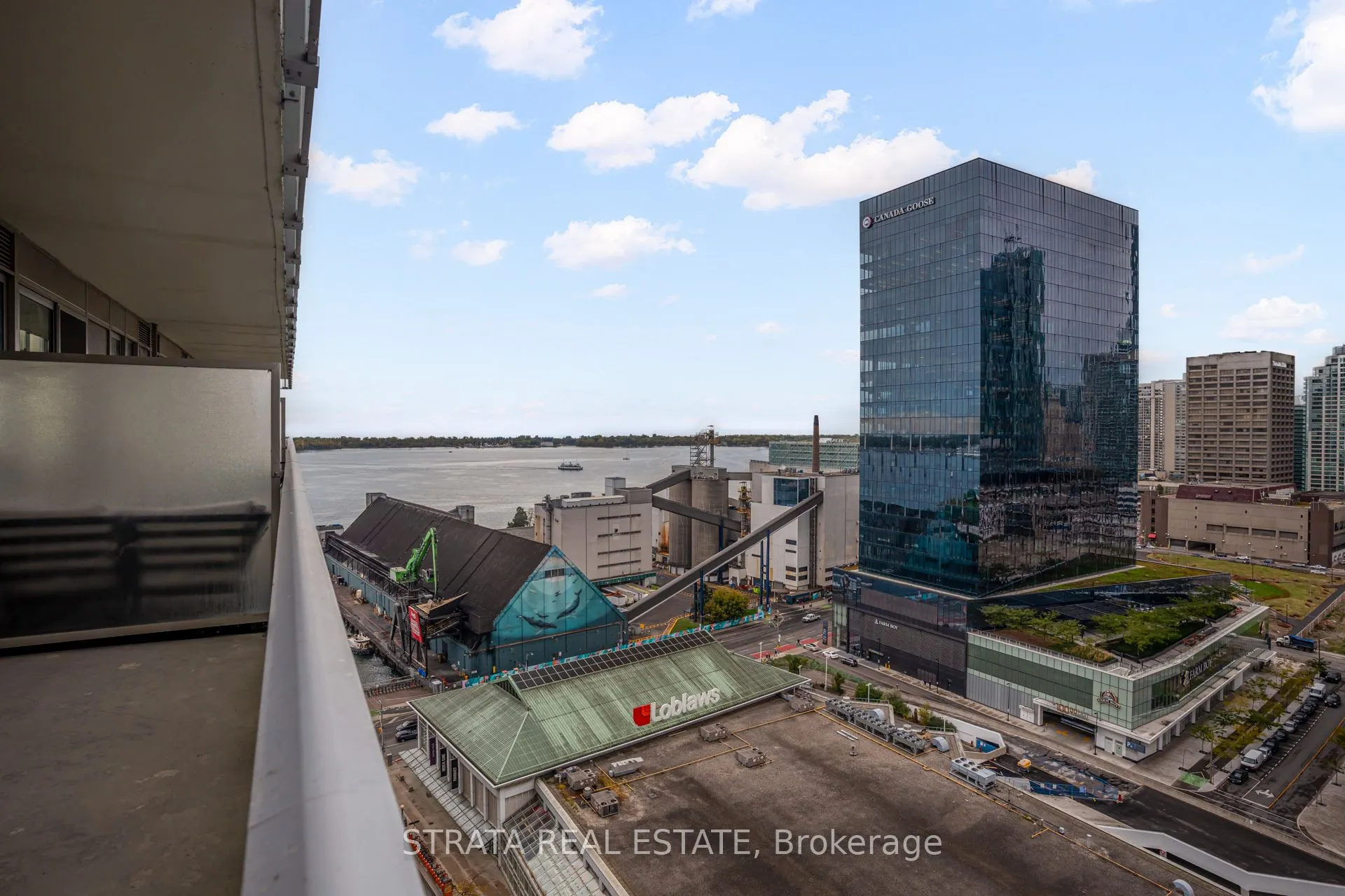 15 Lower Jarvis Street, #1607