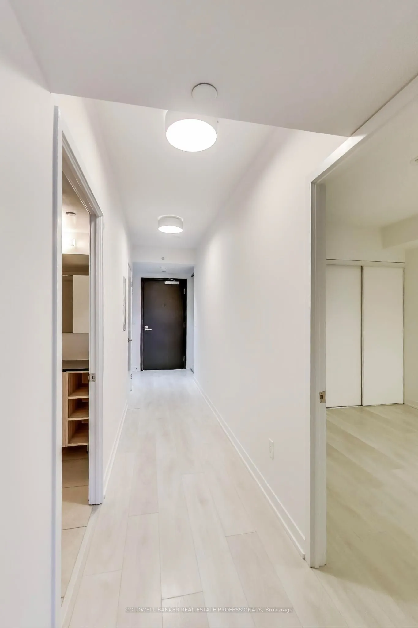 31 Tippet Road, #221