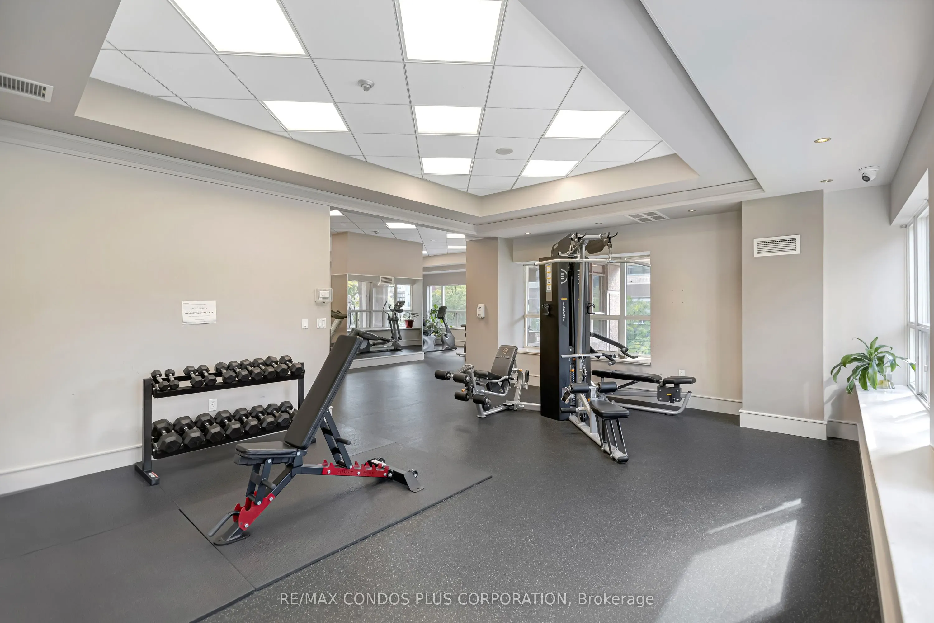 909 Bay Street, #903