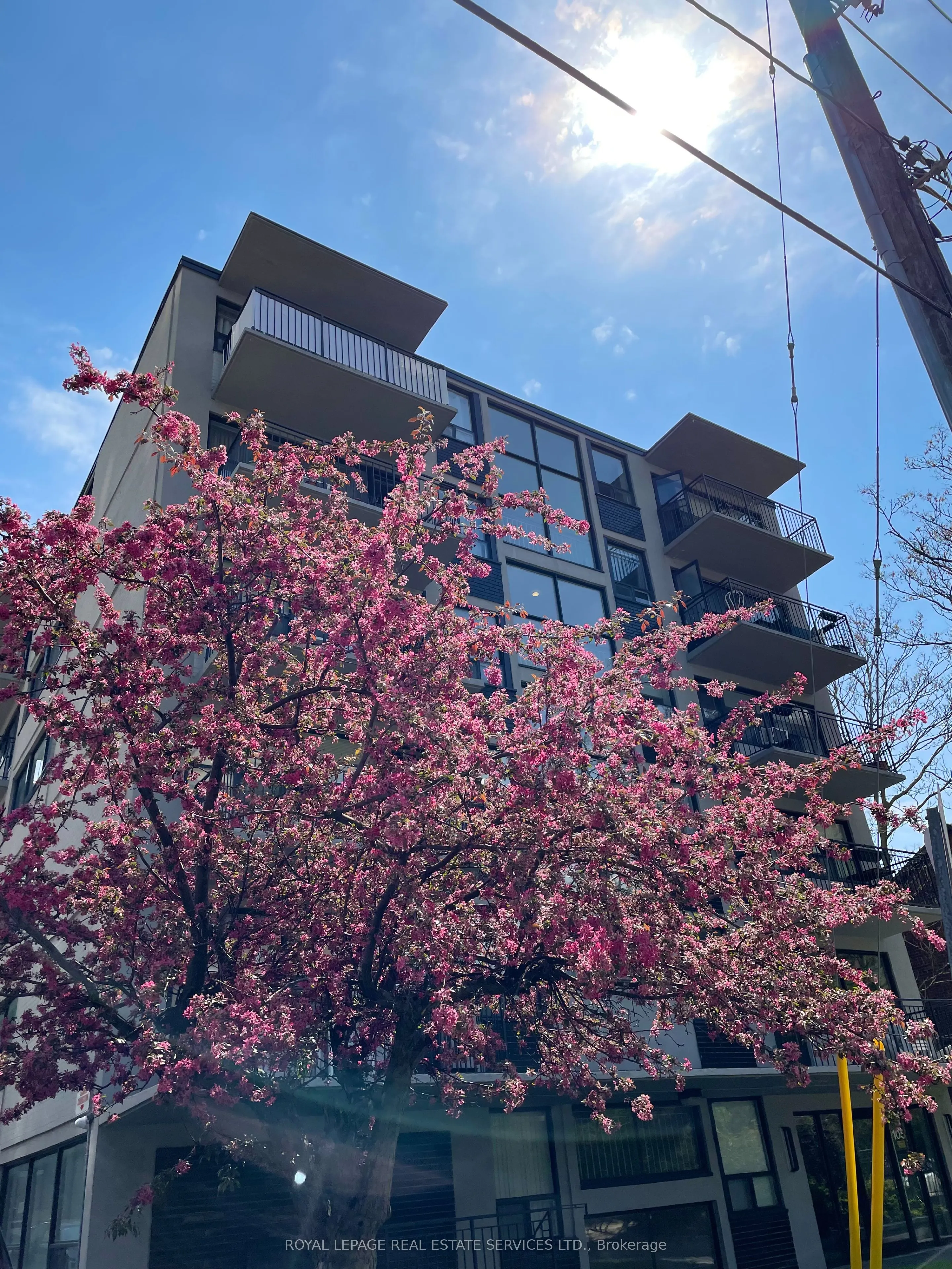 105 Raglan Avenue, #303