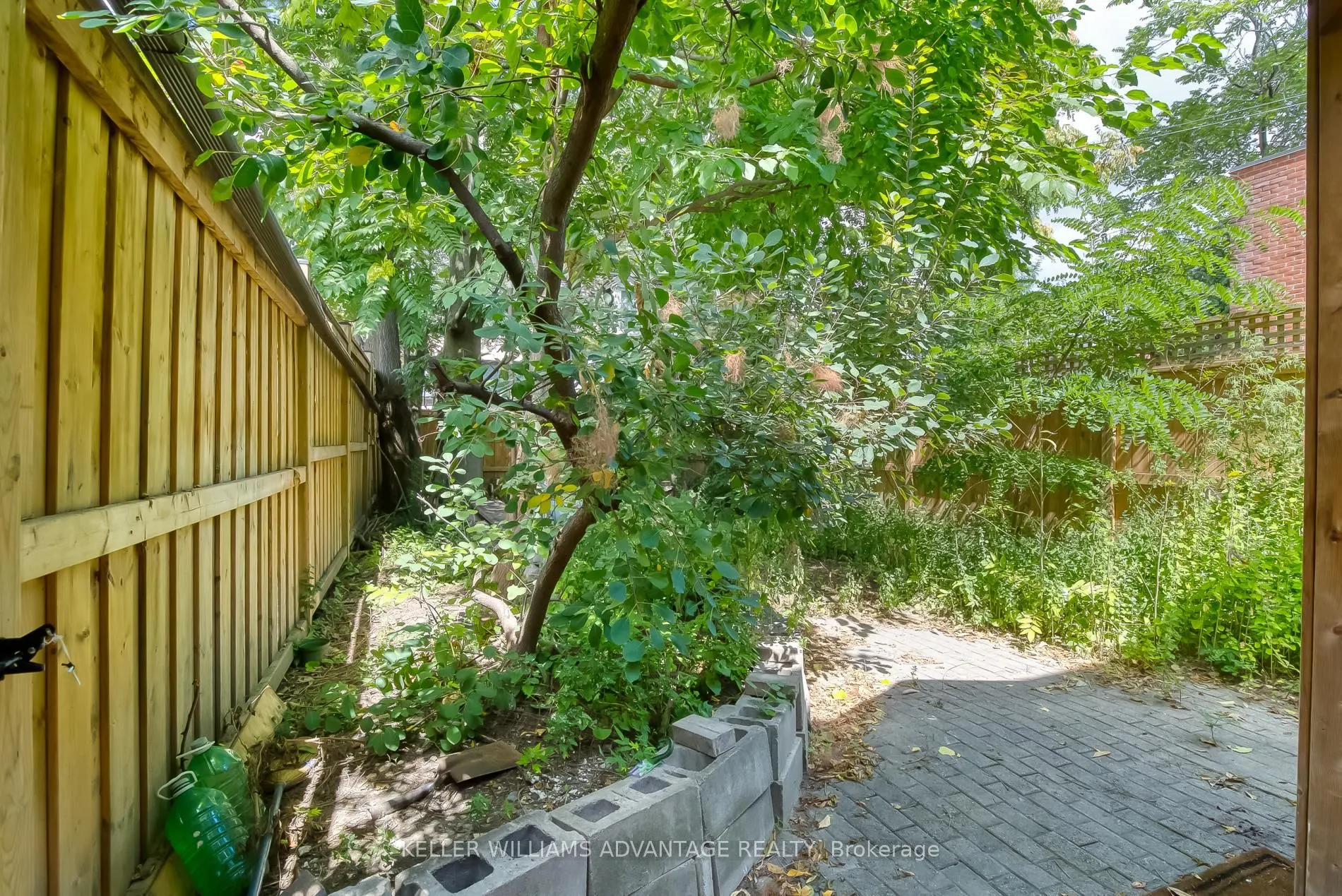 254A Carlton Street