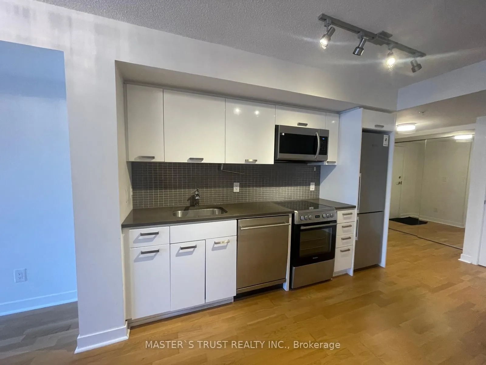 295 Adelaide Street W, #1206