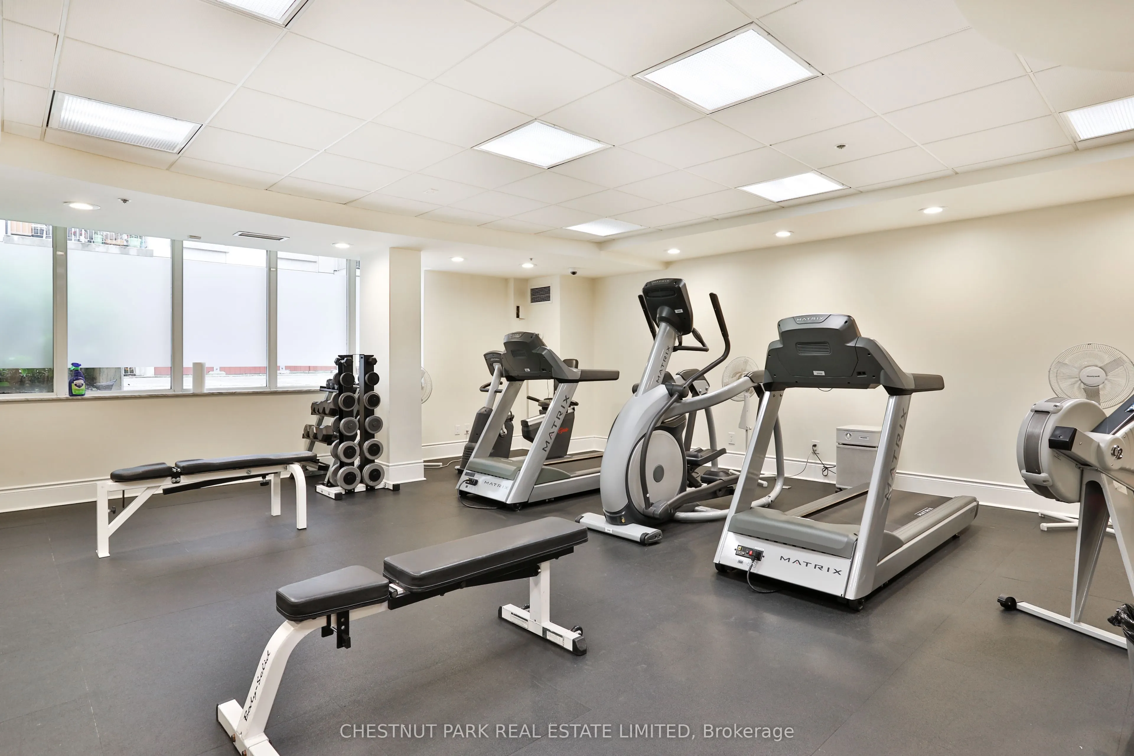 55 Delisle Avenue, #301