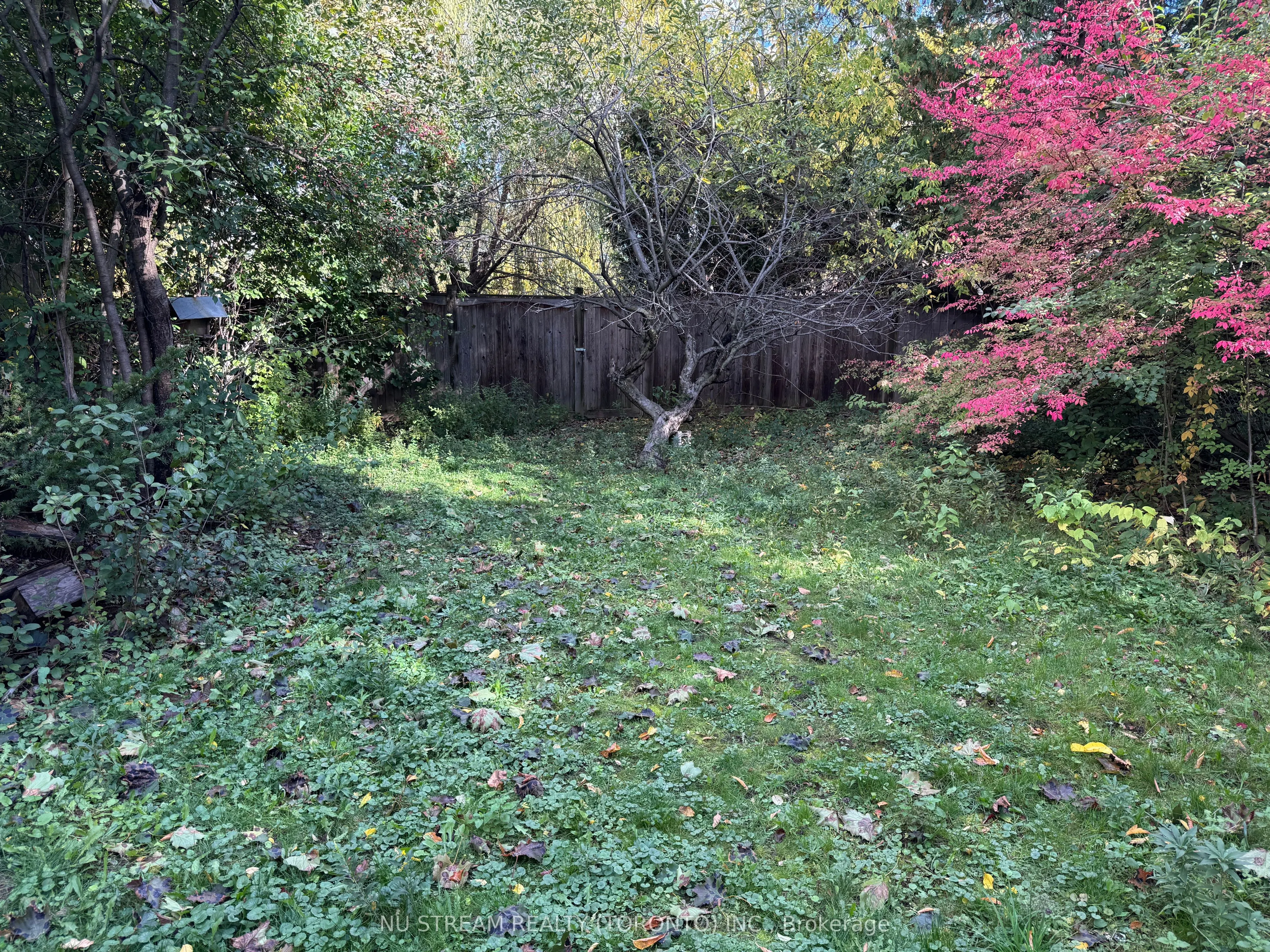 5 Basswood Road