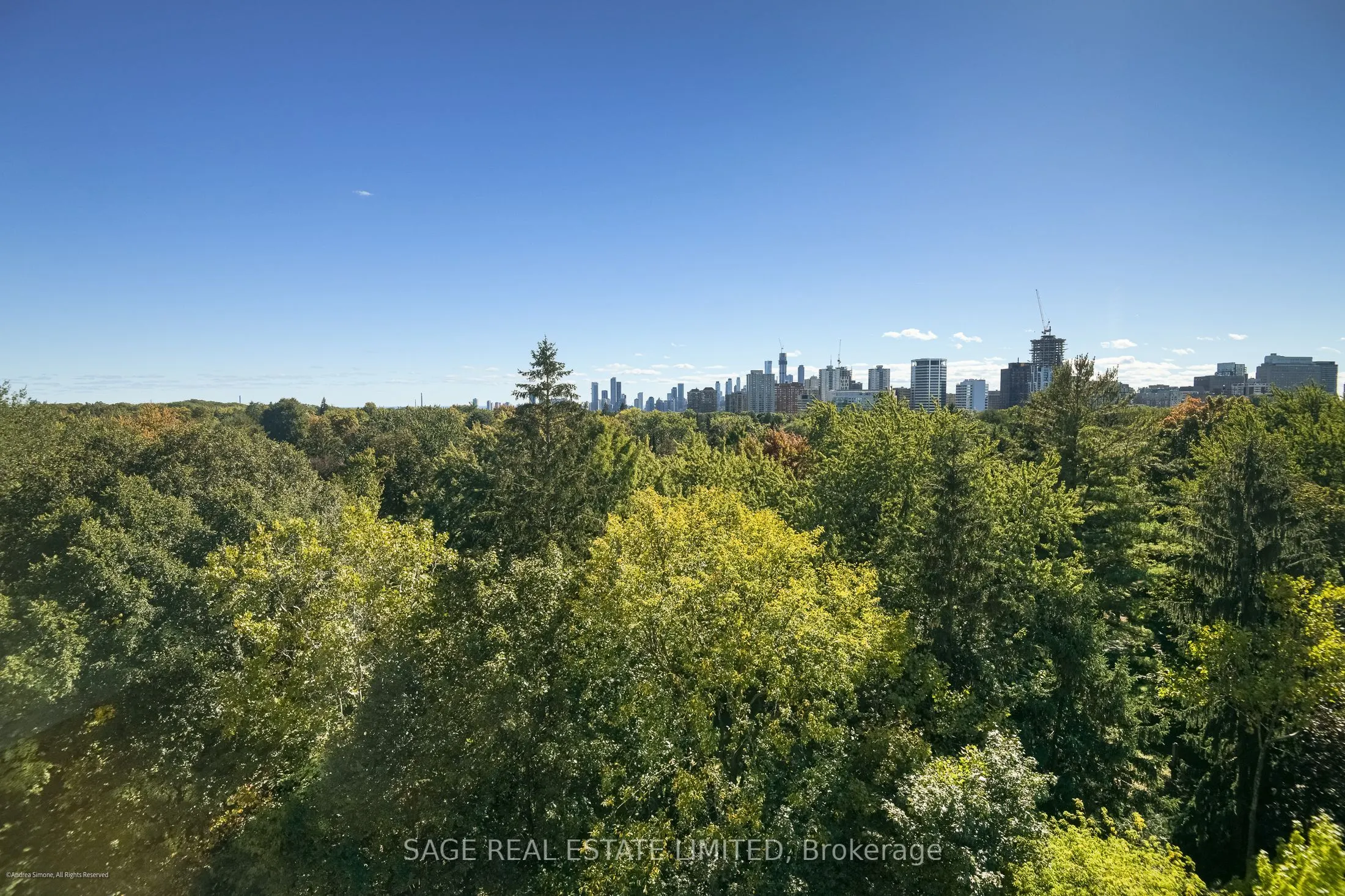 119 Merton Street, #817