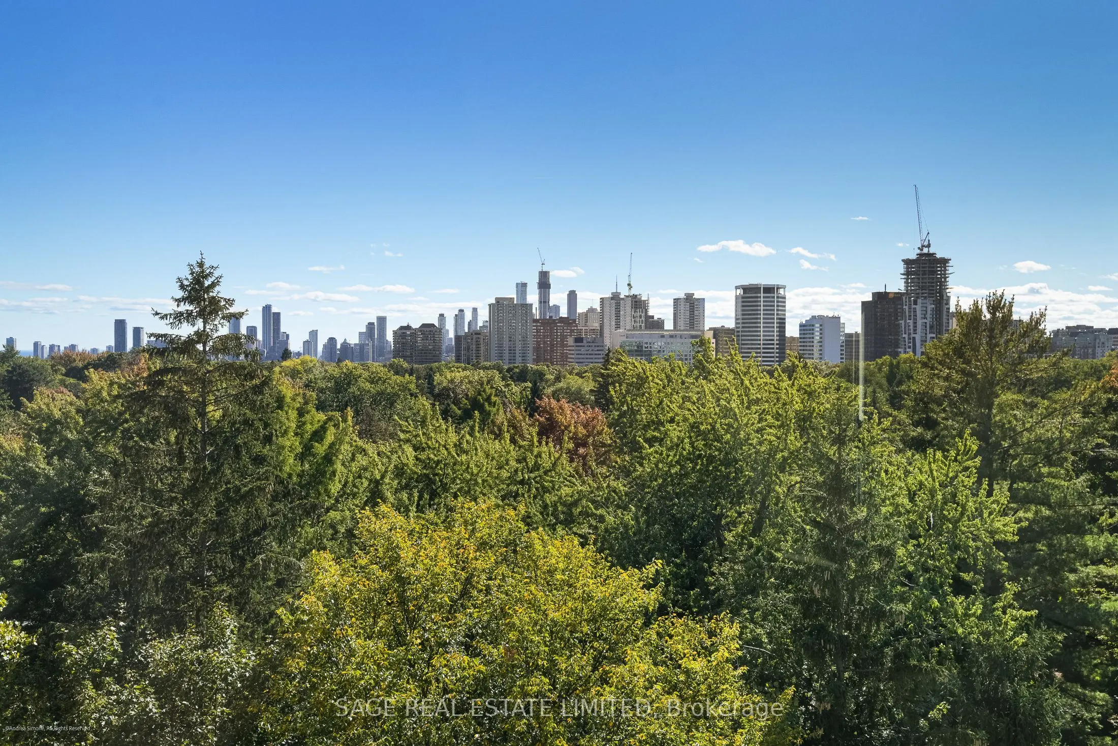119 Merton Street, #817