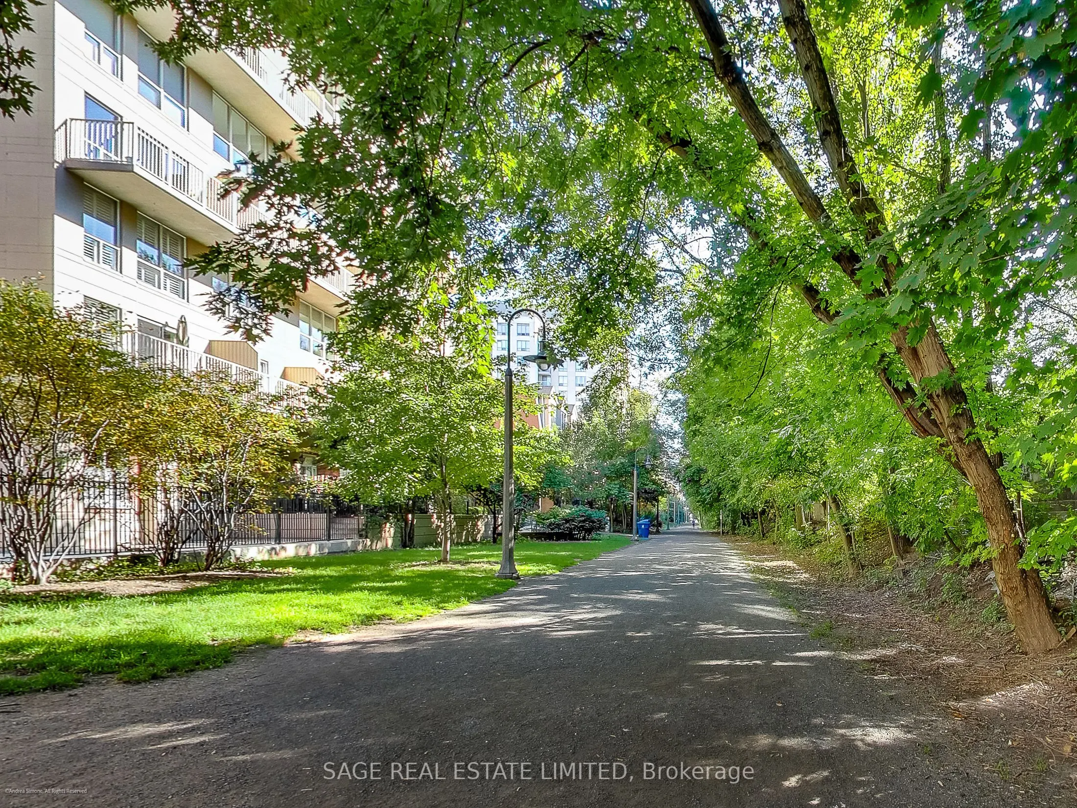119 Merton Street, #817