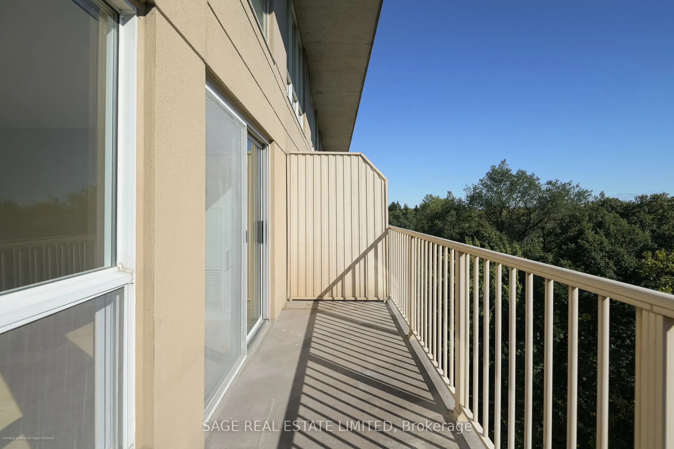 119 Merton Street, #817