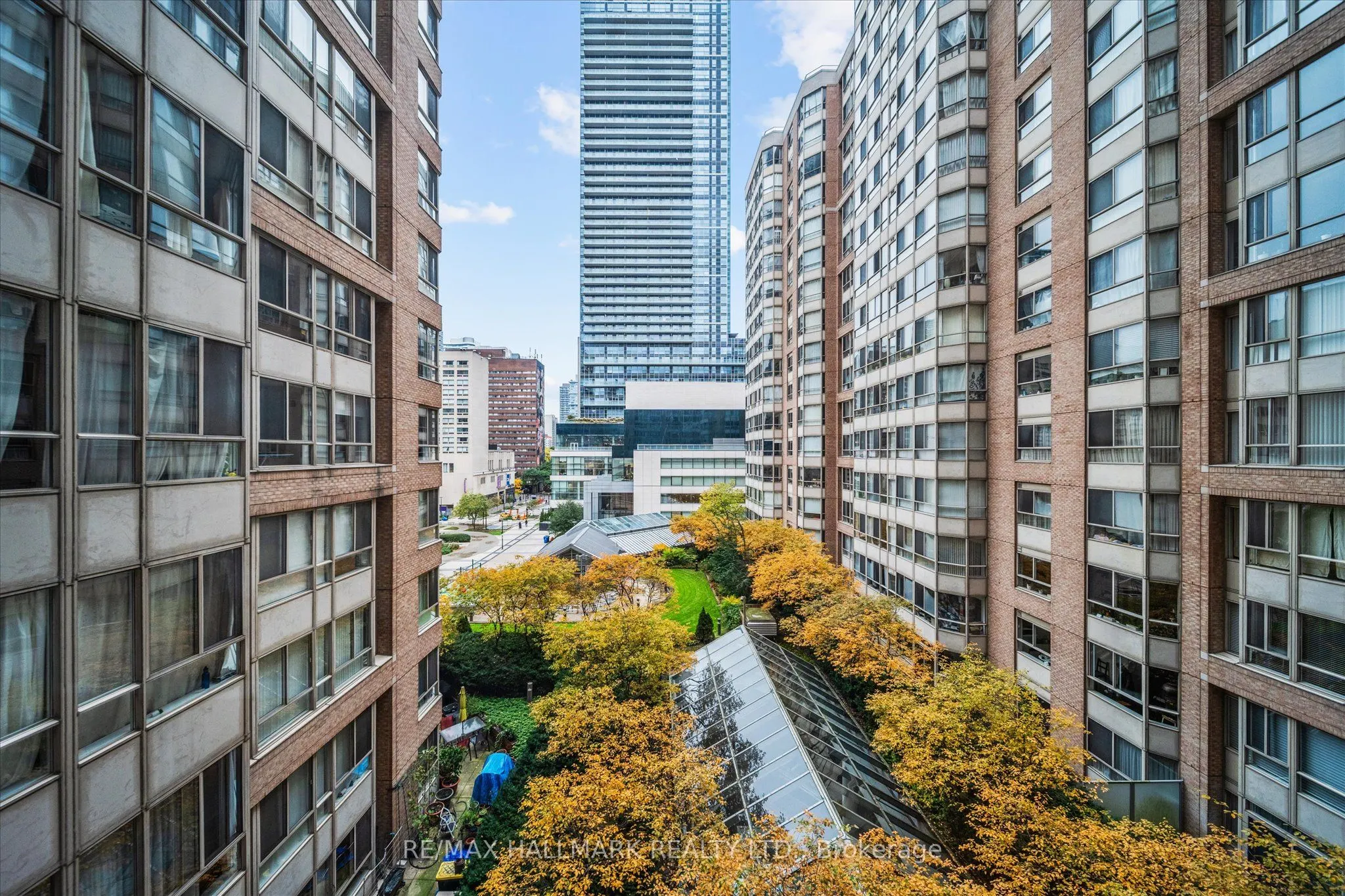 717 Bay Street, #703