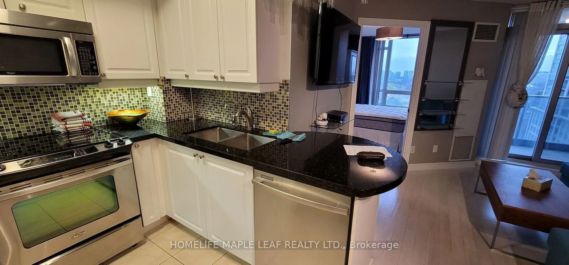 1 Rean Drive, #1113