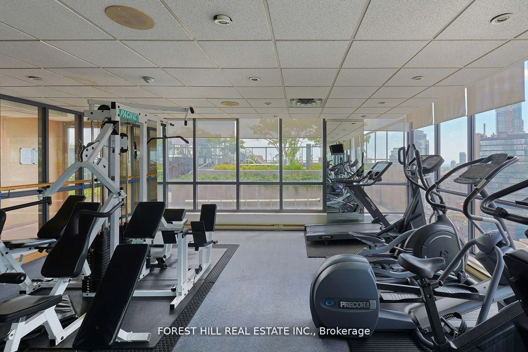 24 Wellesley Street W, #909
