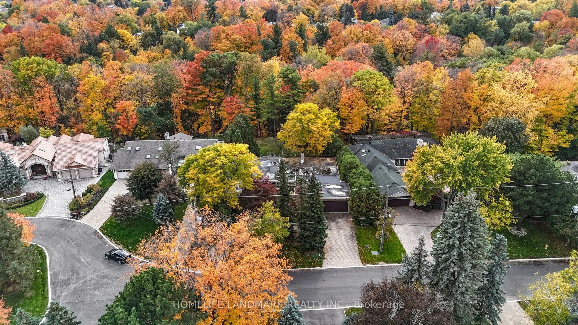 85 Forest Grove Drive