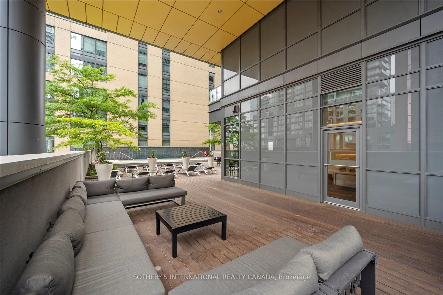 8 Charlotte Street, #415