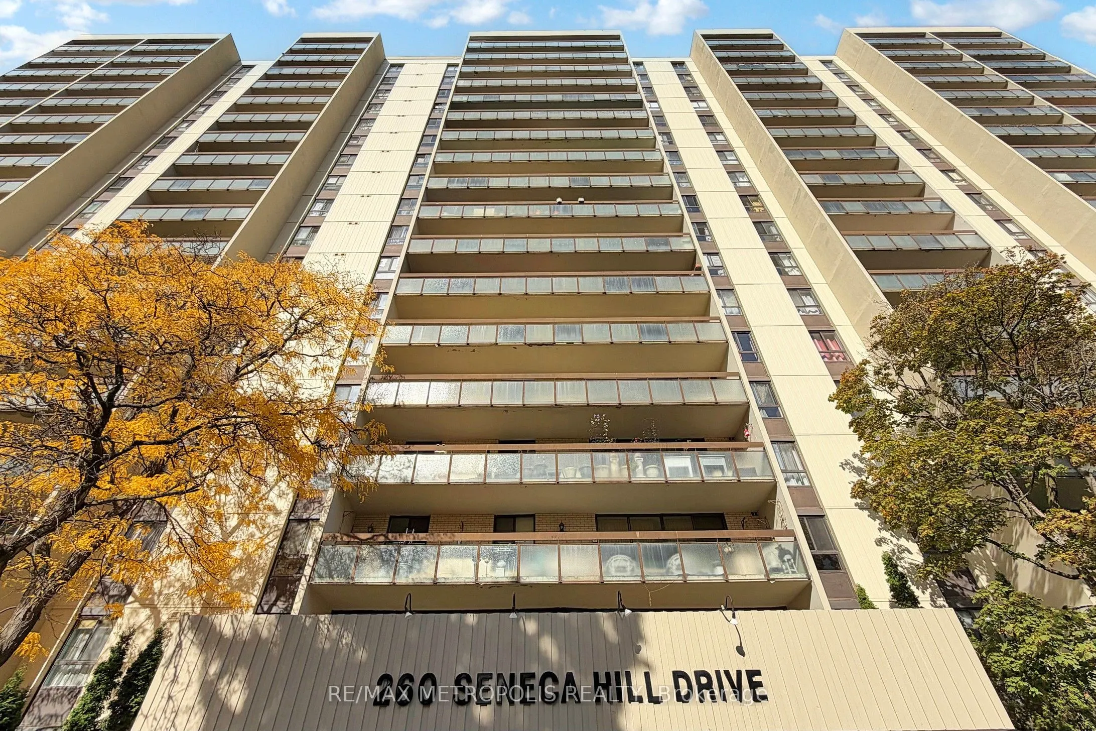 260 Seneca Hill Drive, #206