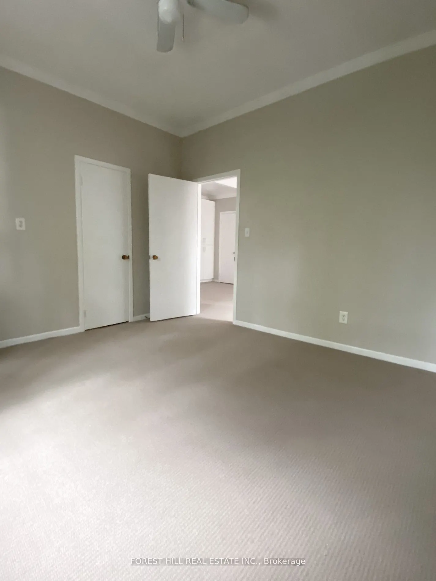 72 Walmer Road, #4
