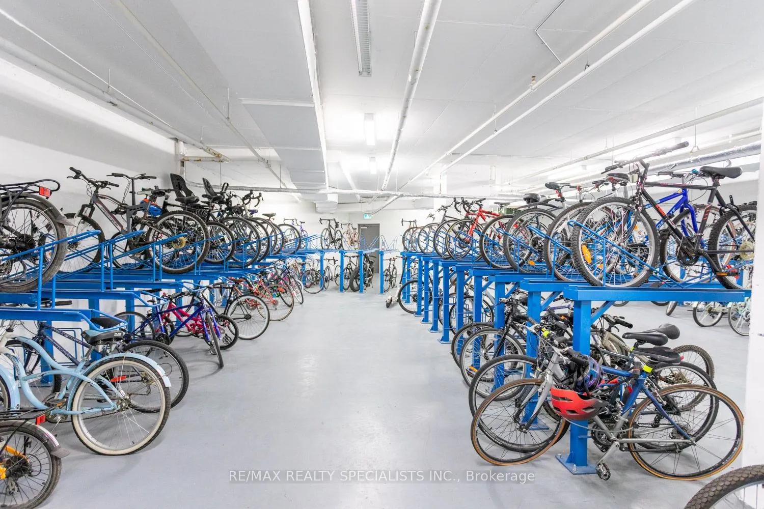 38 Iannuzzi Street, #540