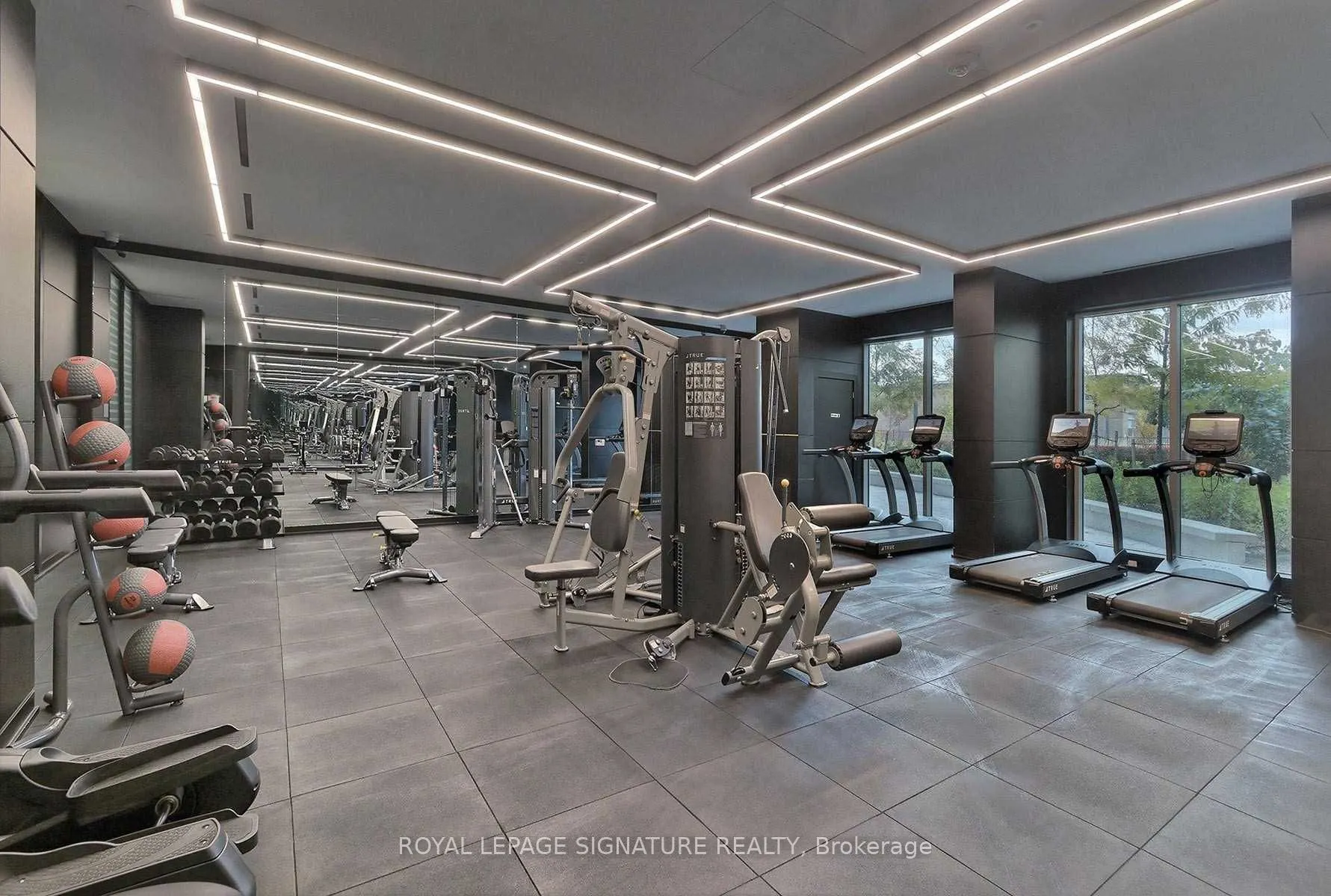 31 Tippett Road, #537