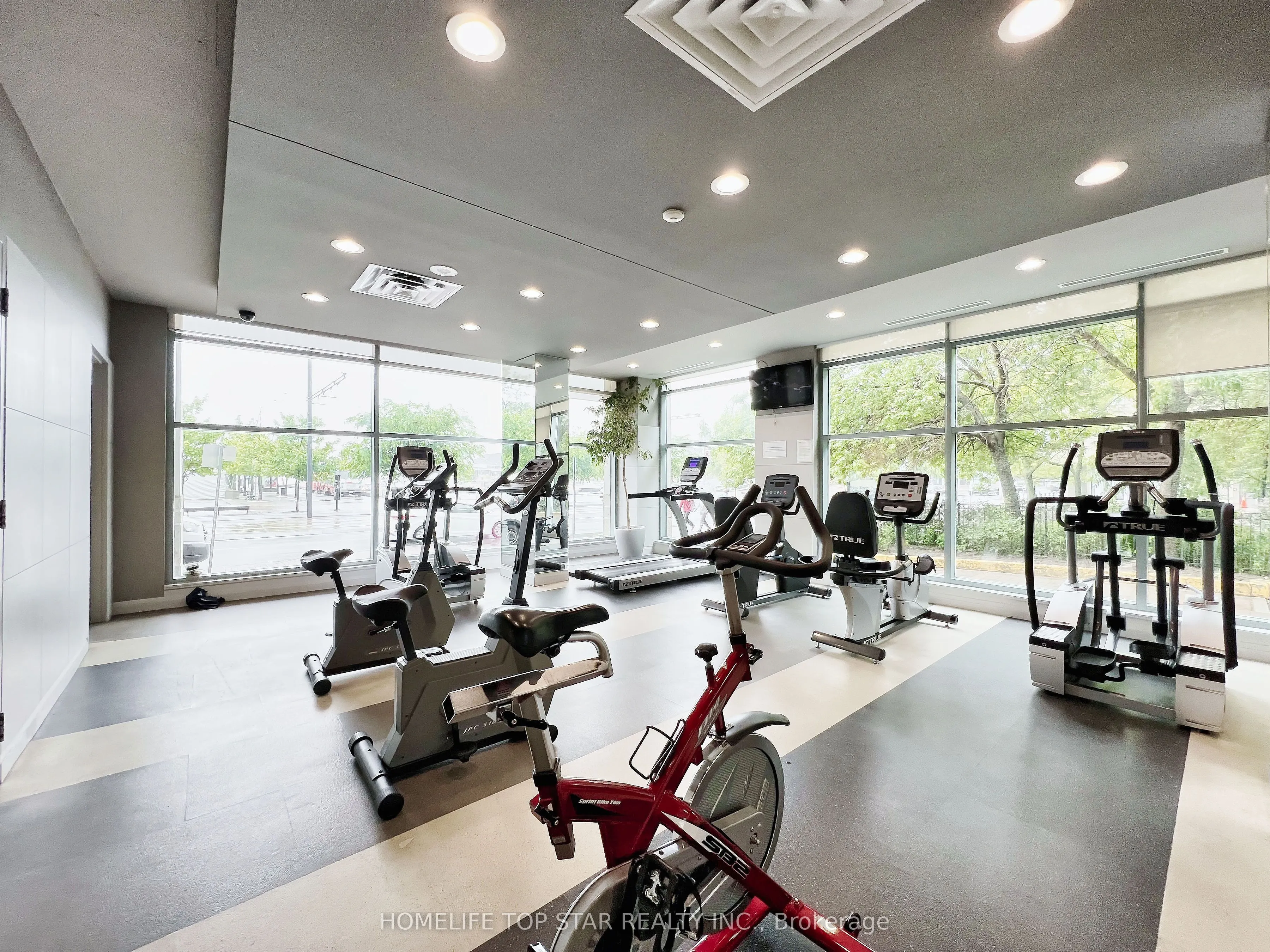 228 Queens Quay W, #1006