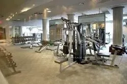 763 Bay Street, #4106