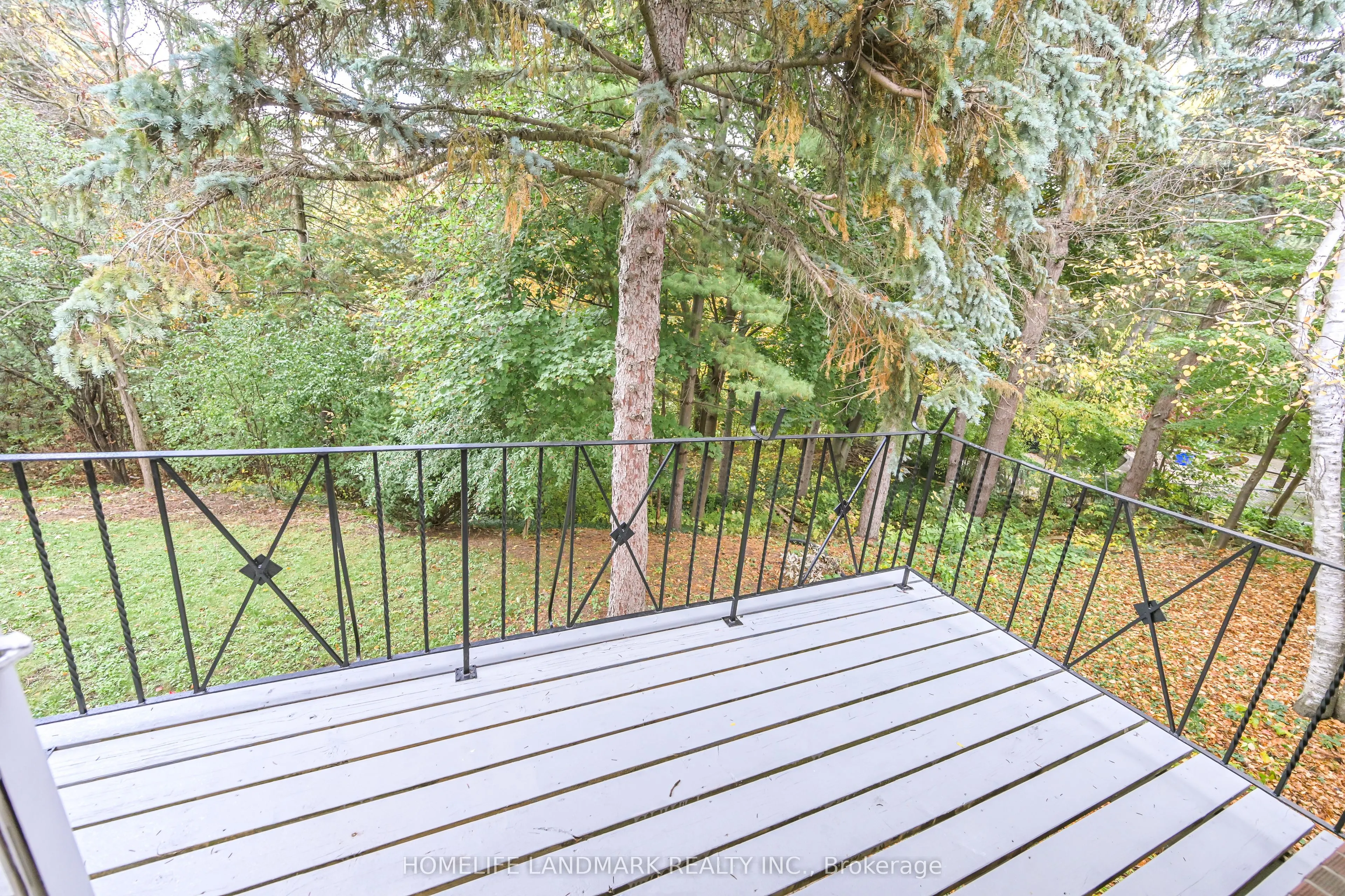 144 Clansman Boulevard