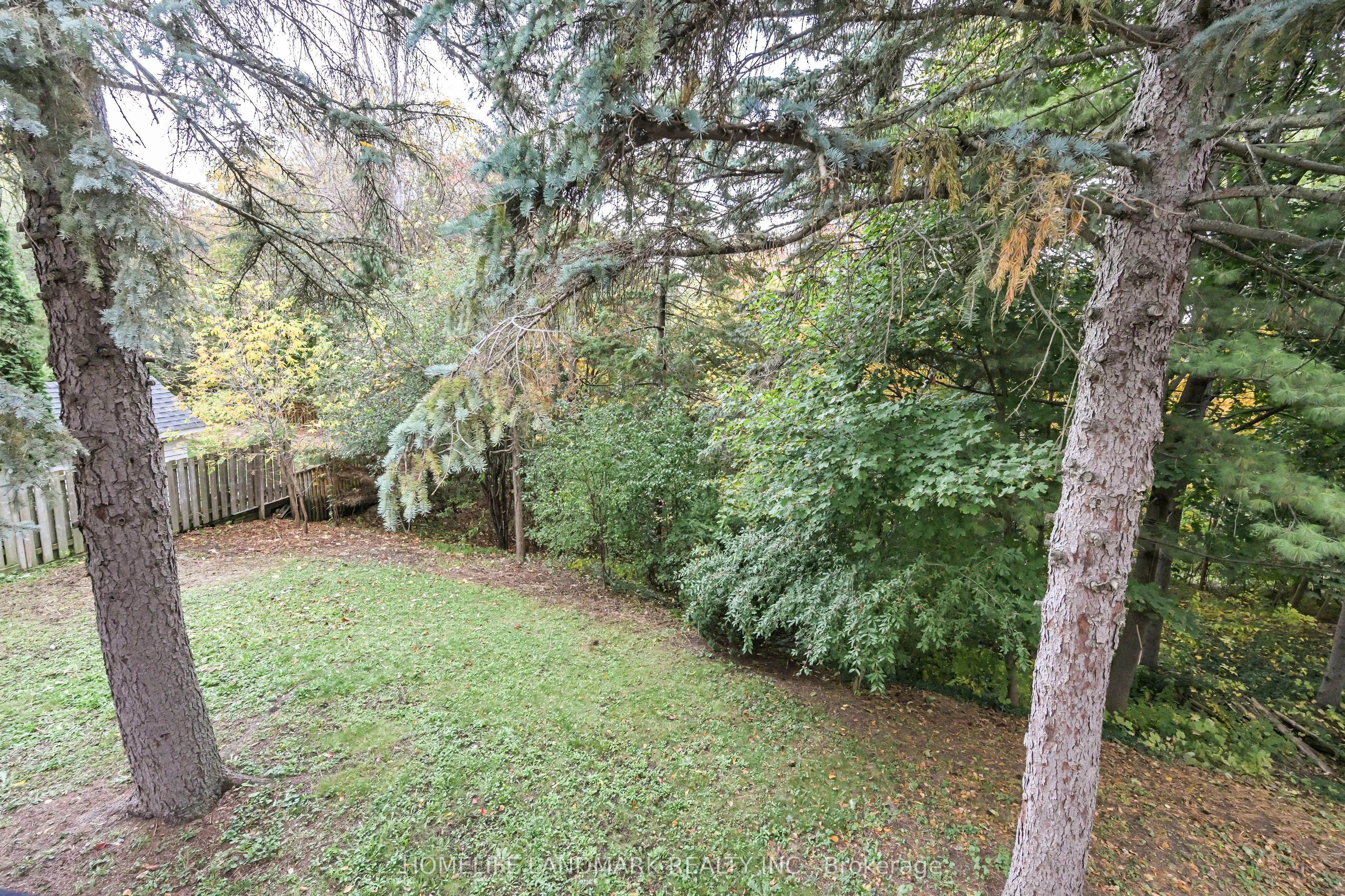 144 Clansman Boulevard