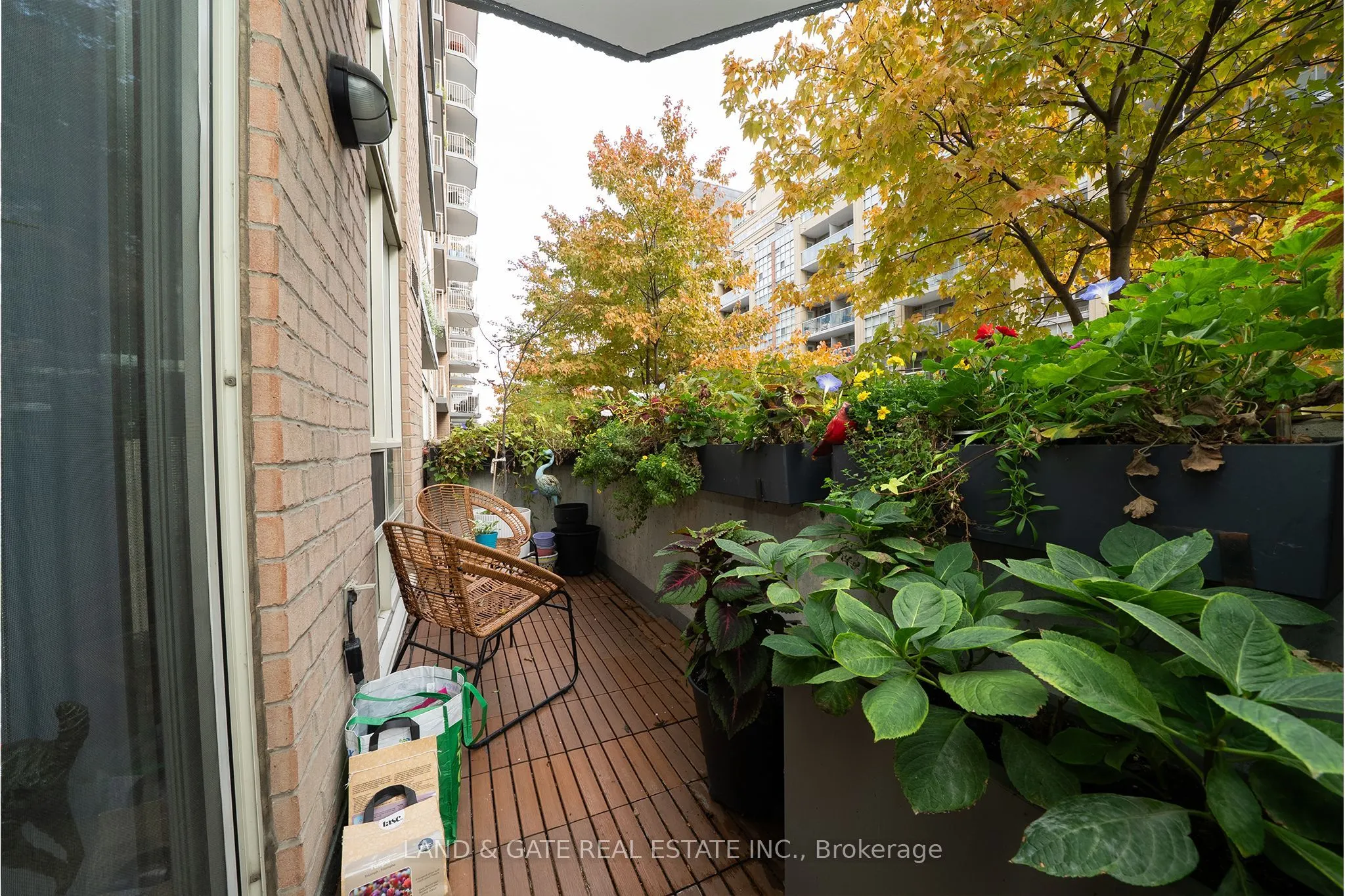 18 Stafford Street, #202