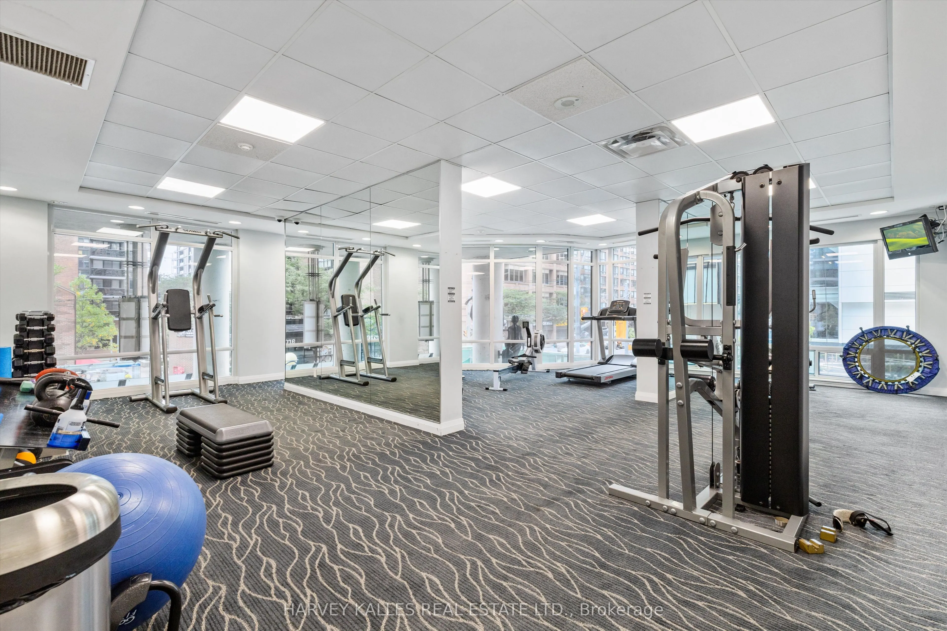 1121 Bay Street, #1205