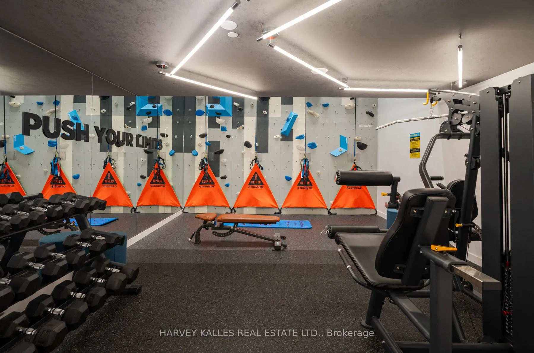 2 Augusta Avenue, #507