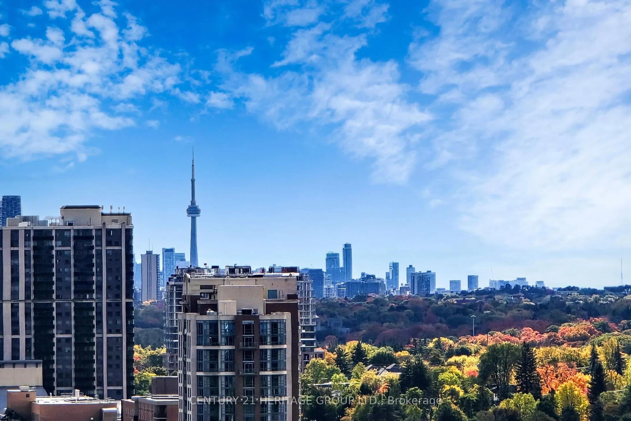 509 Beecroft Road, #2008