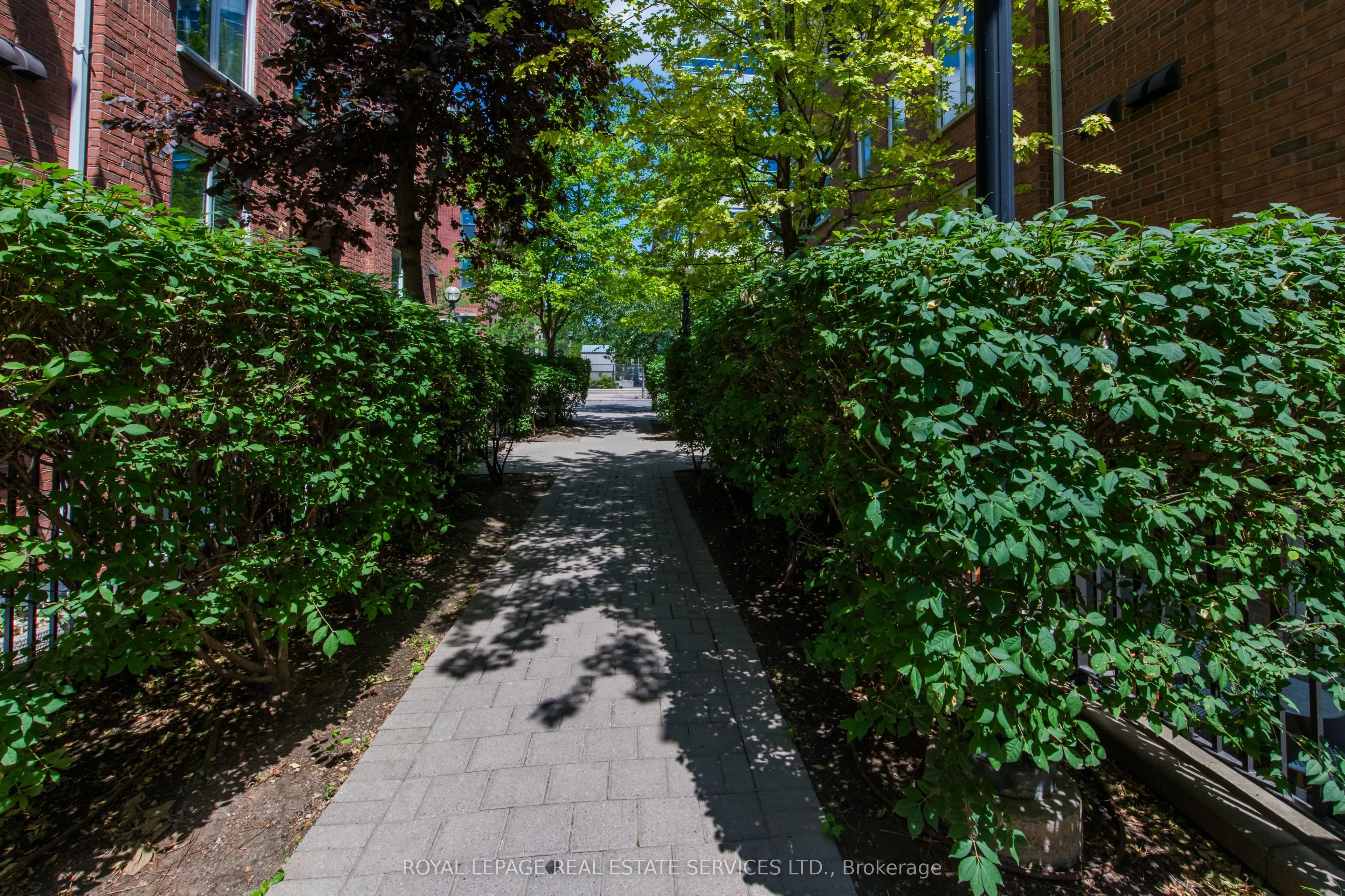 29 canniff Street, #411