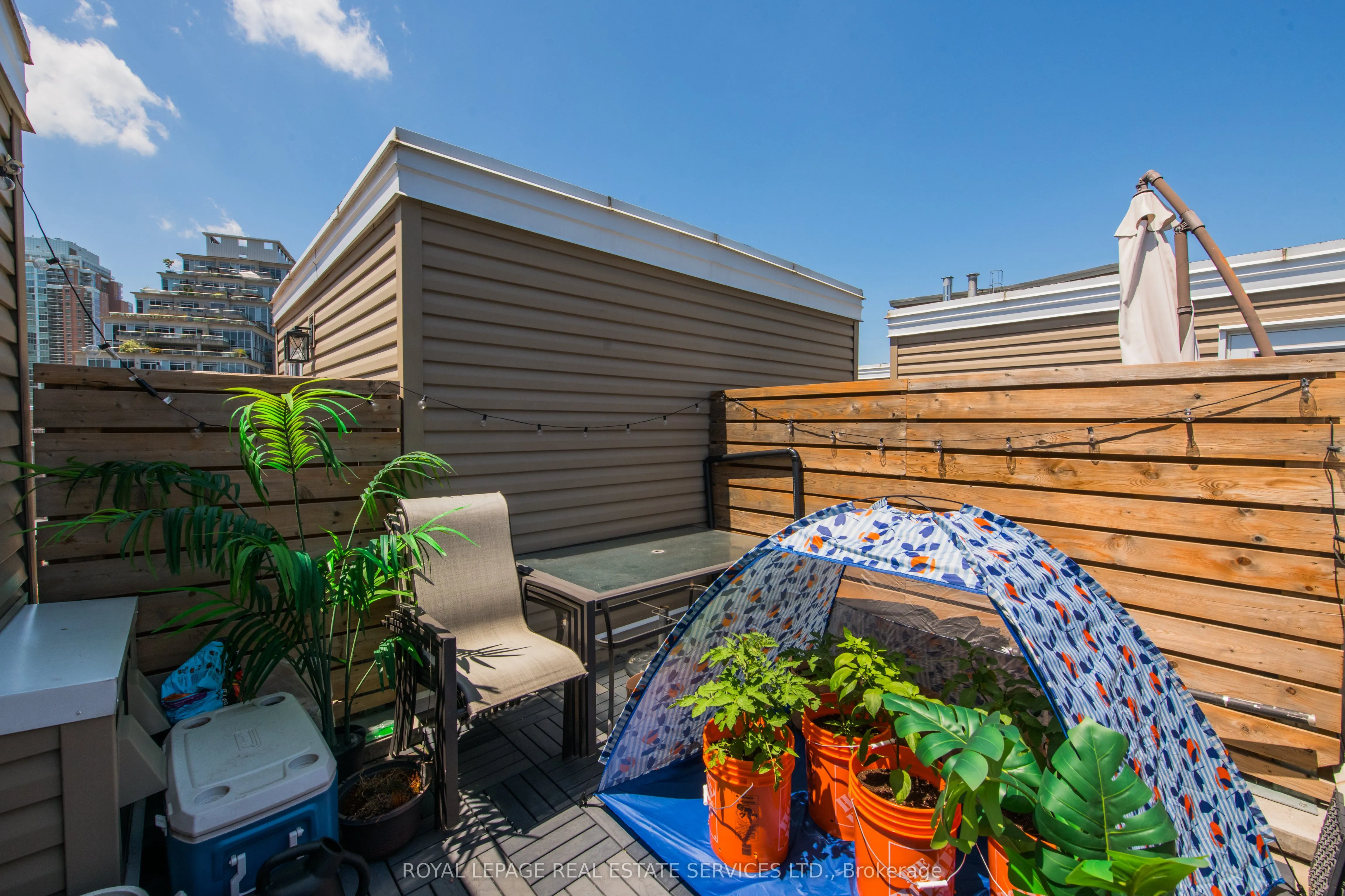 29 canniff Street, #411