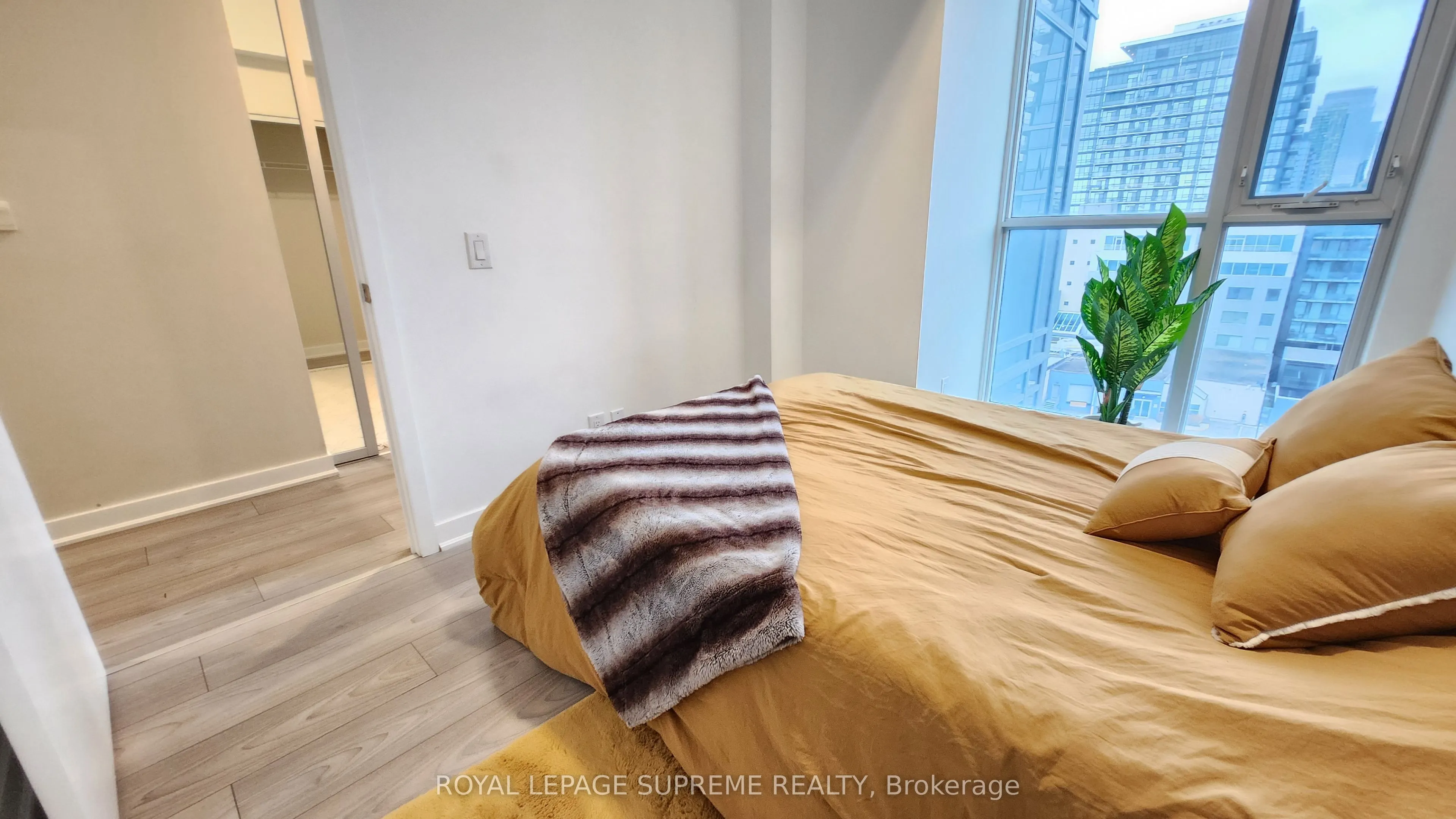 120 Parliament Street, #817