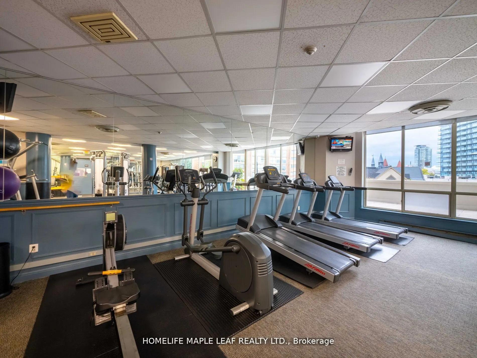 1033 Bay Street, #219