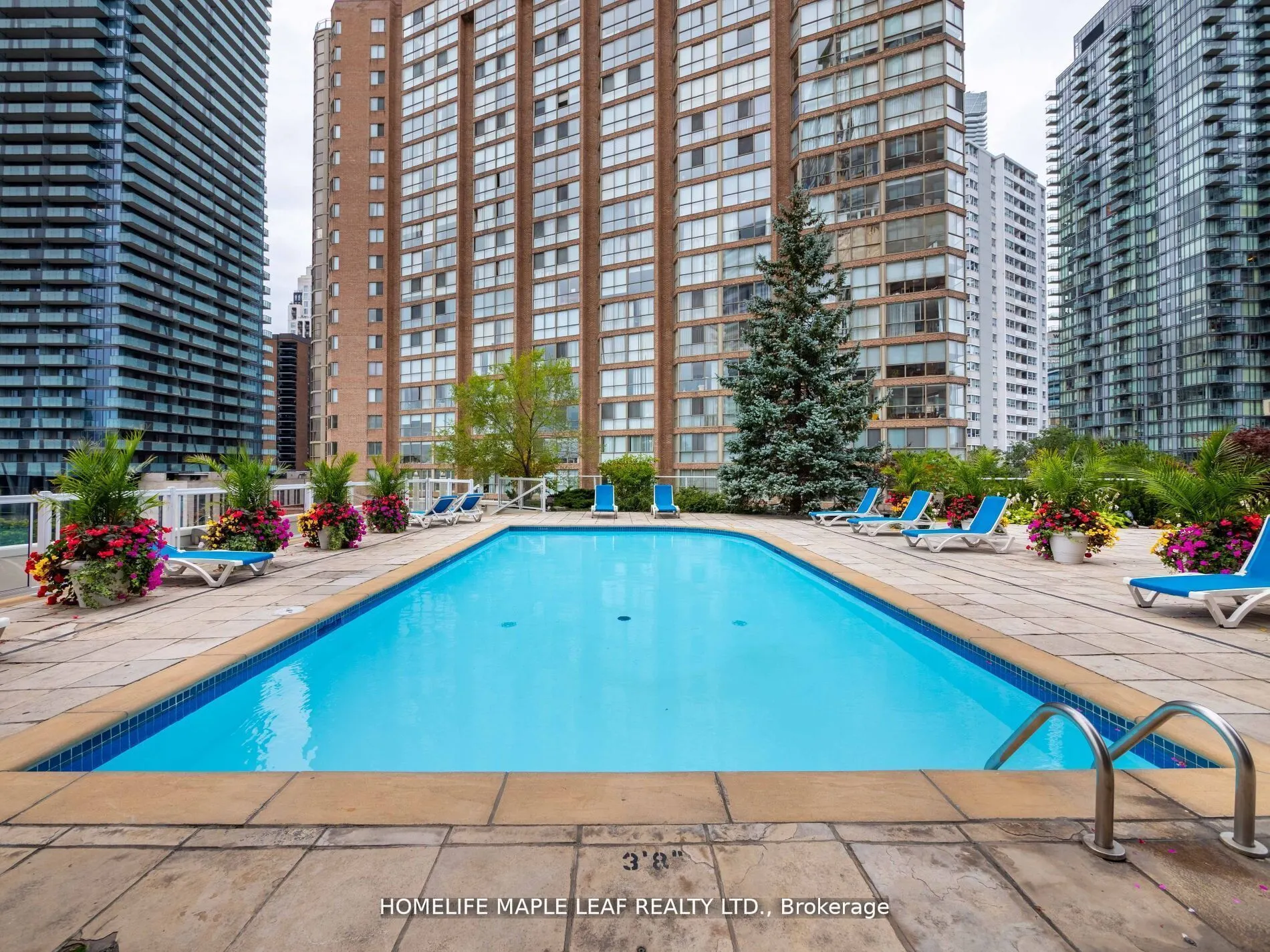 1033 Bay Street, #219