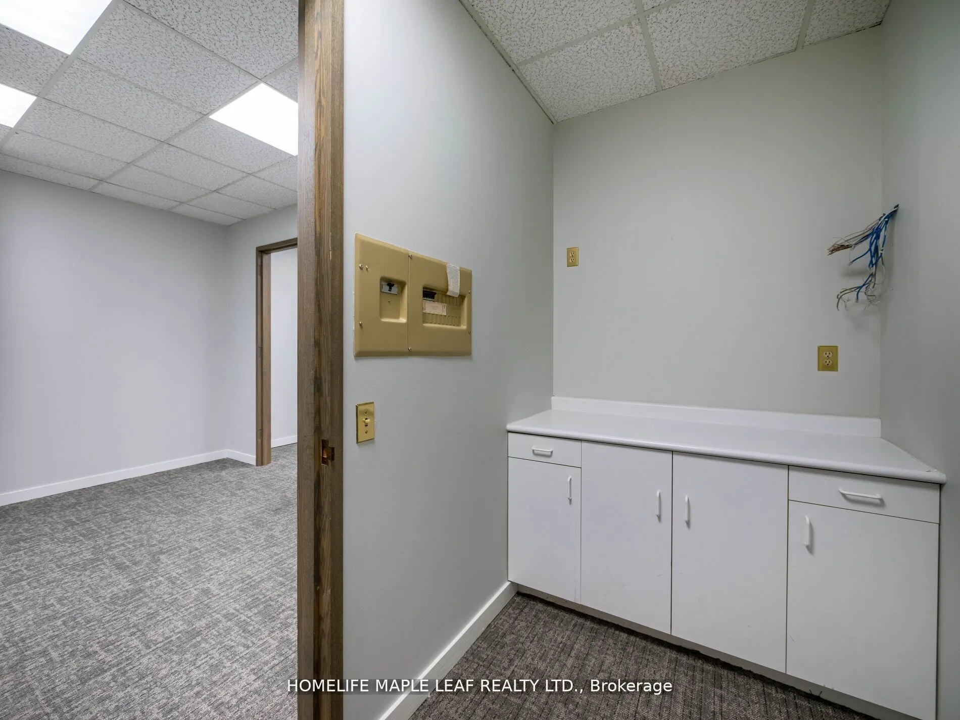 1033 Bay Street, #219