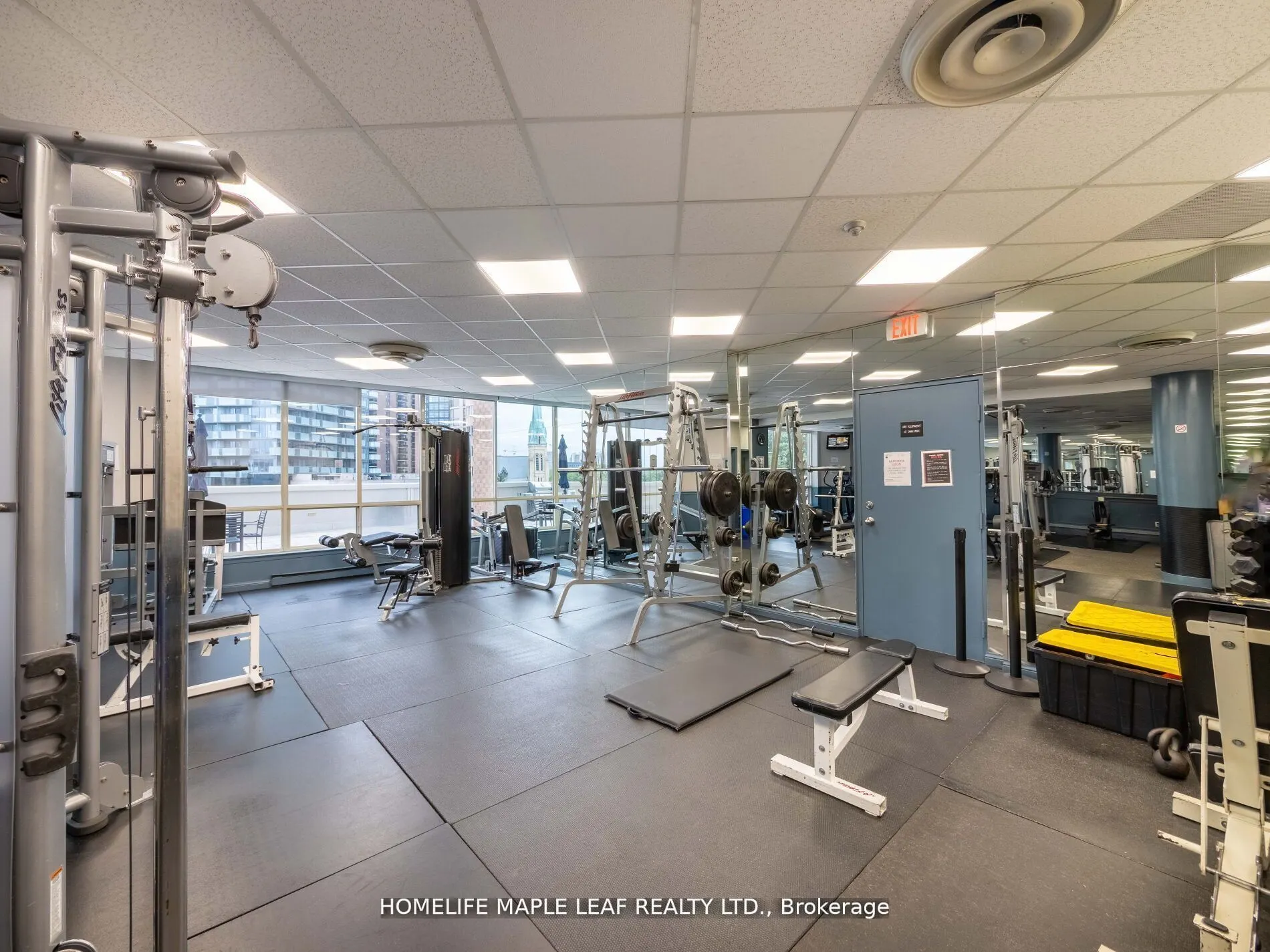 1033 Bay Street, #219