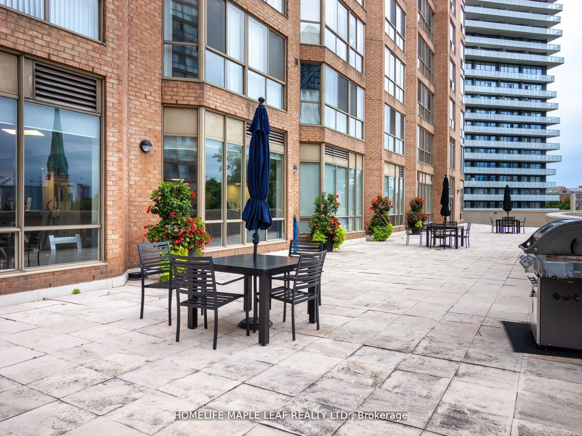 1033 Bay Street, #219