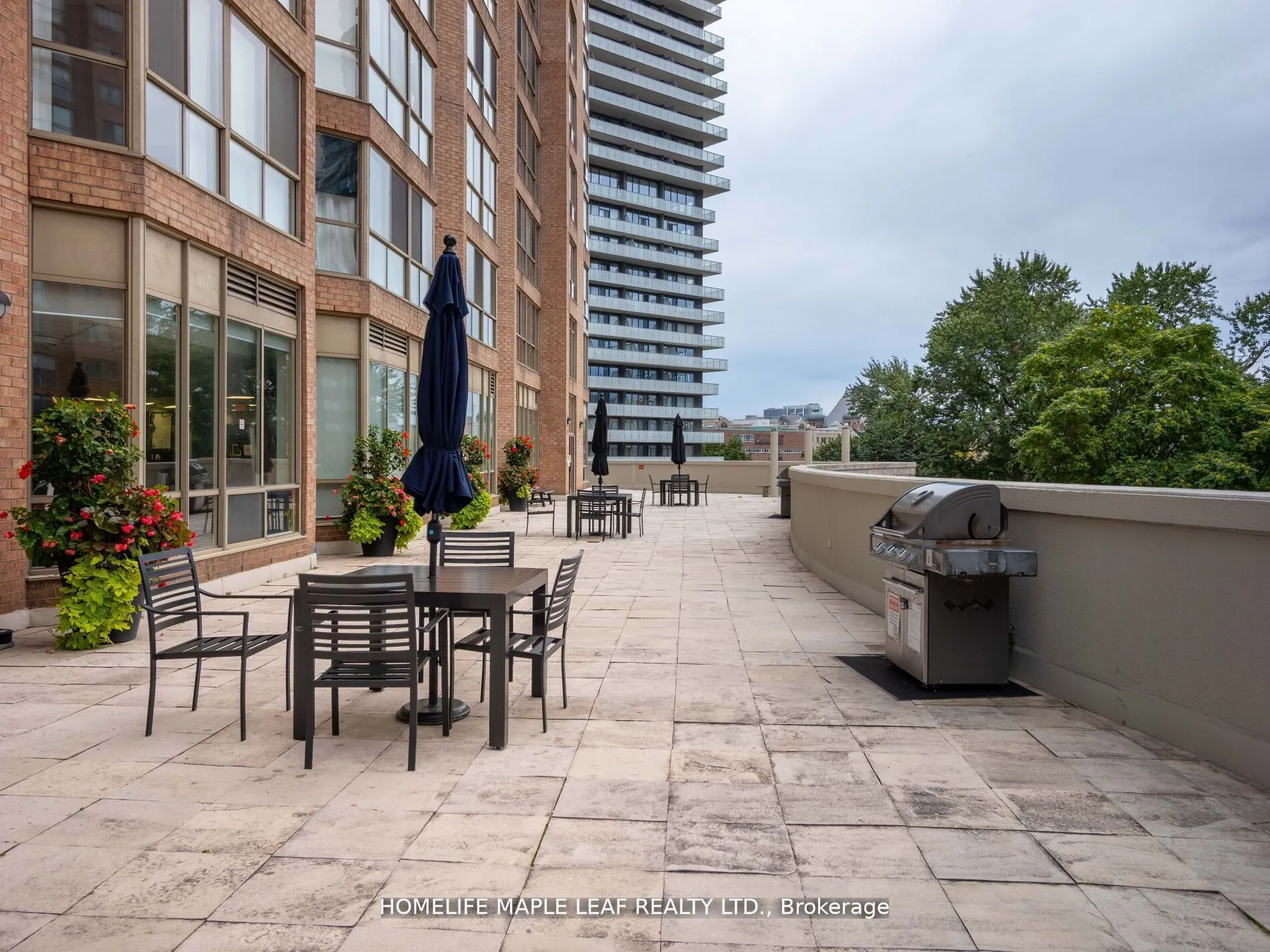 1033 Bay Street, #219