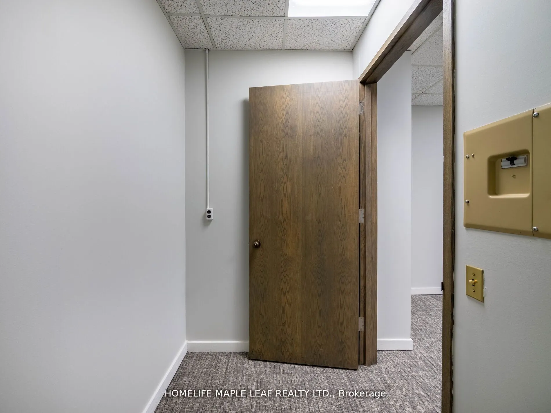 1033 Bay Street, #219