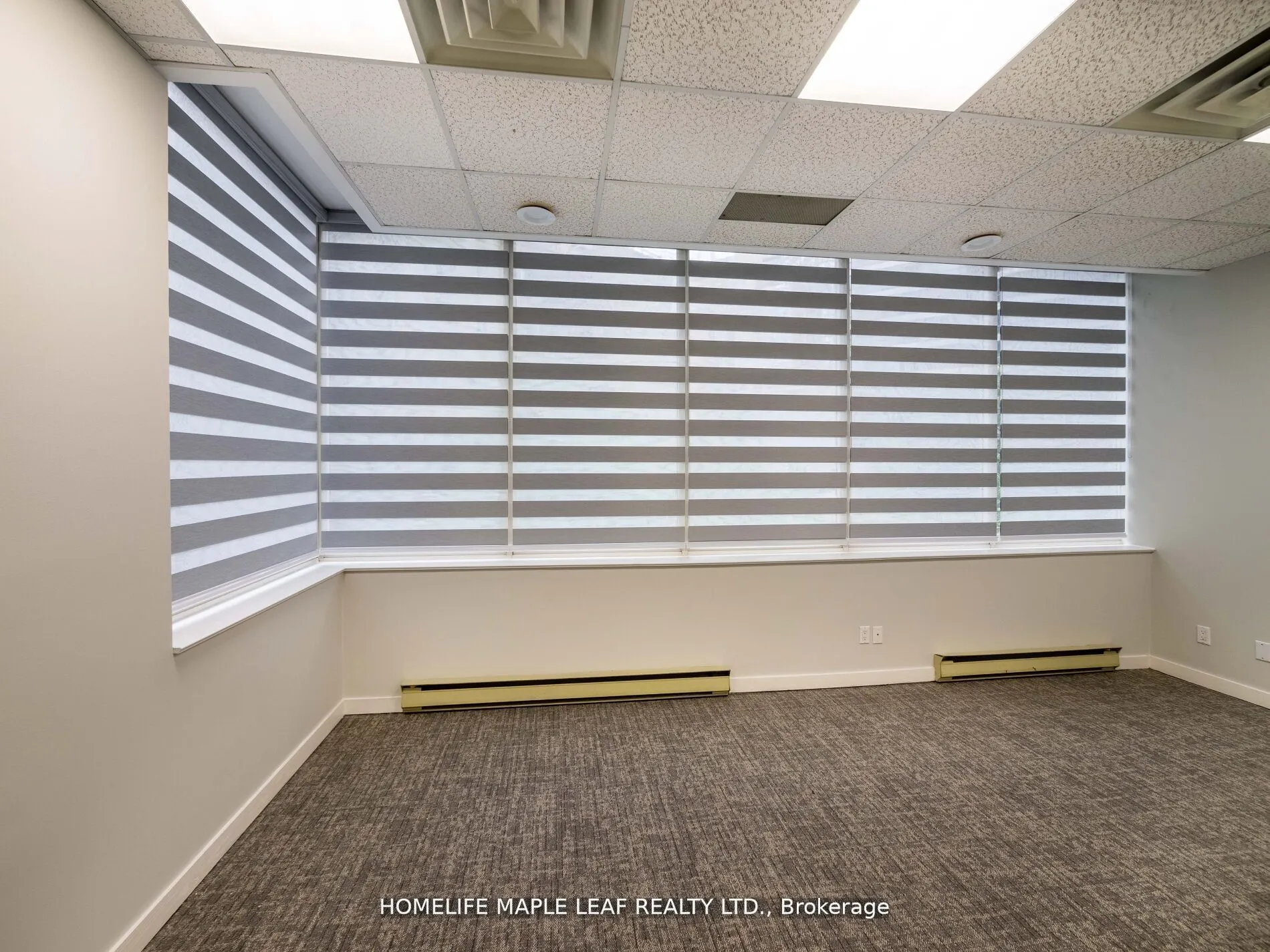 1033 Bay Street, #219