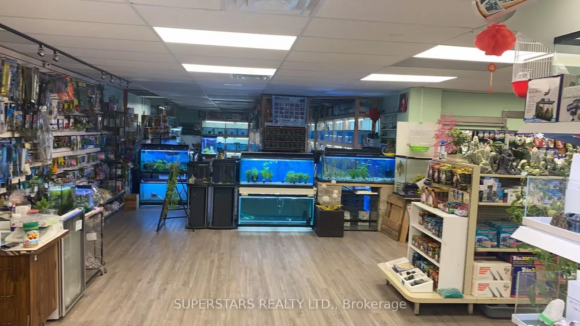 222 Spadina Avenue, #26