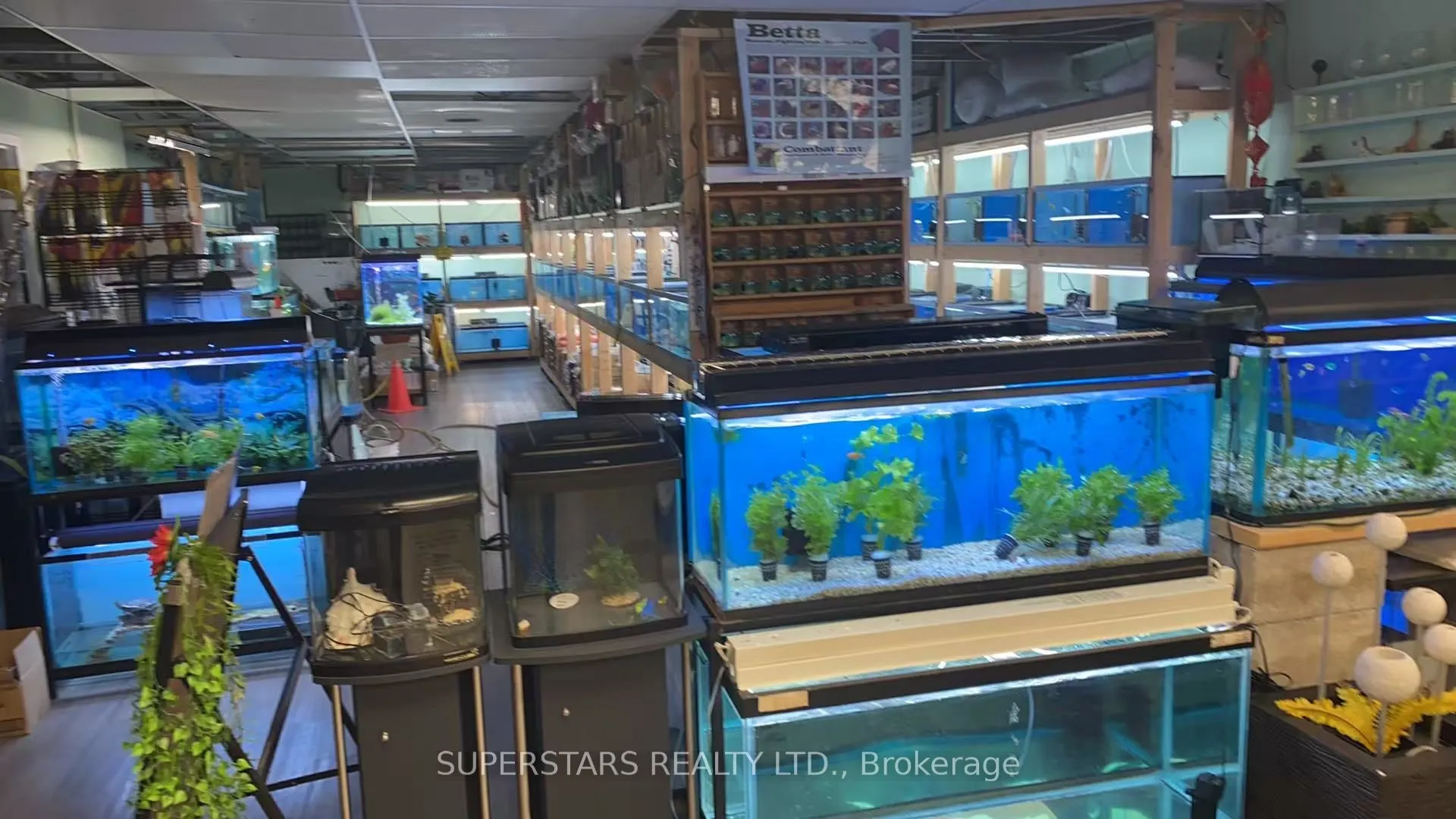 222 Spadina Avenue, #26