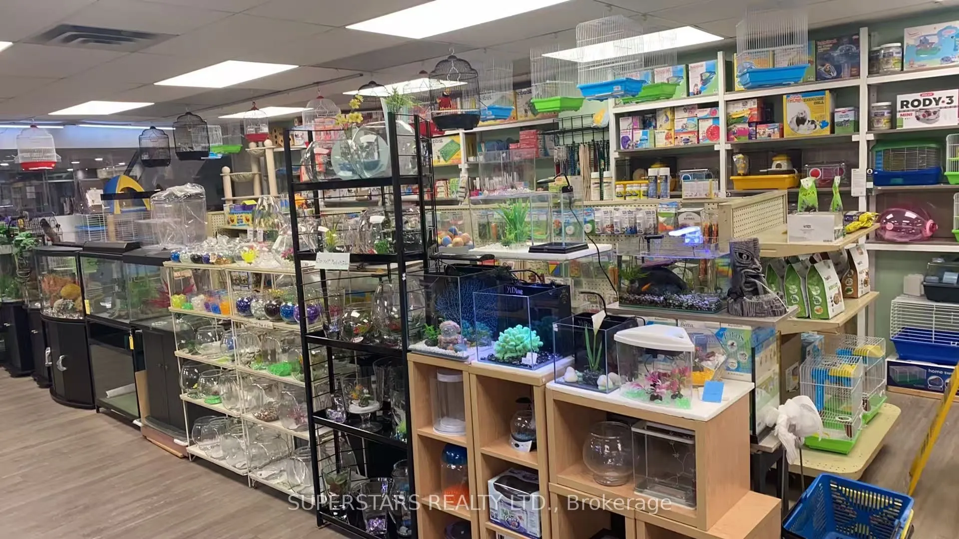 222 Spadina Avenue, #26