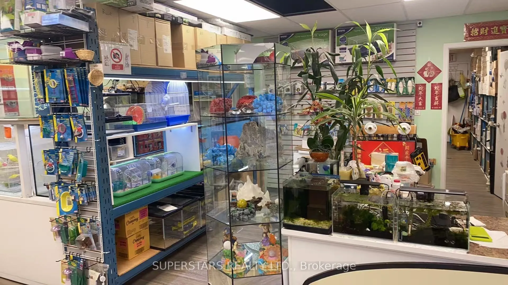 222 Spadina Avenue, #26