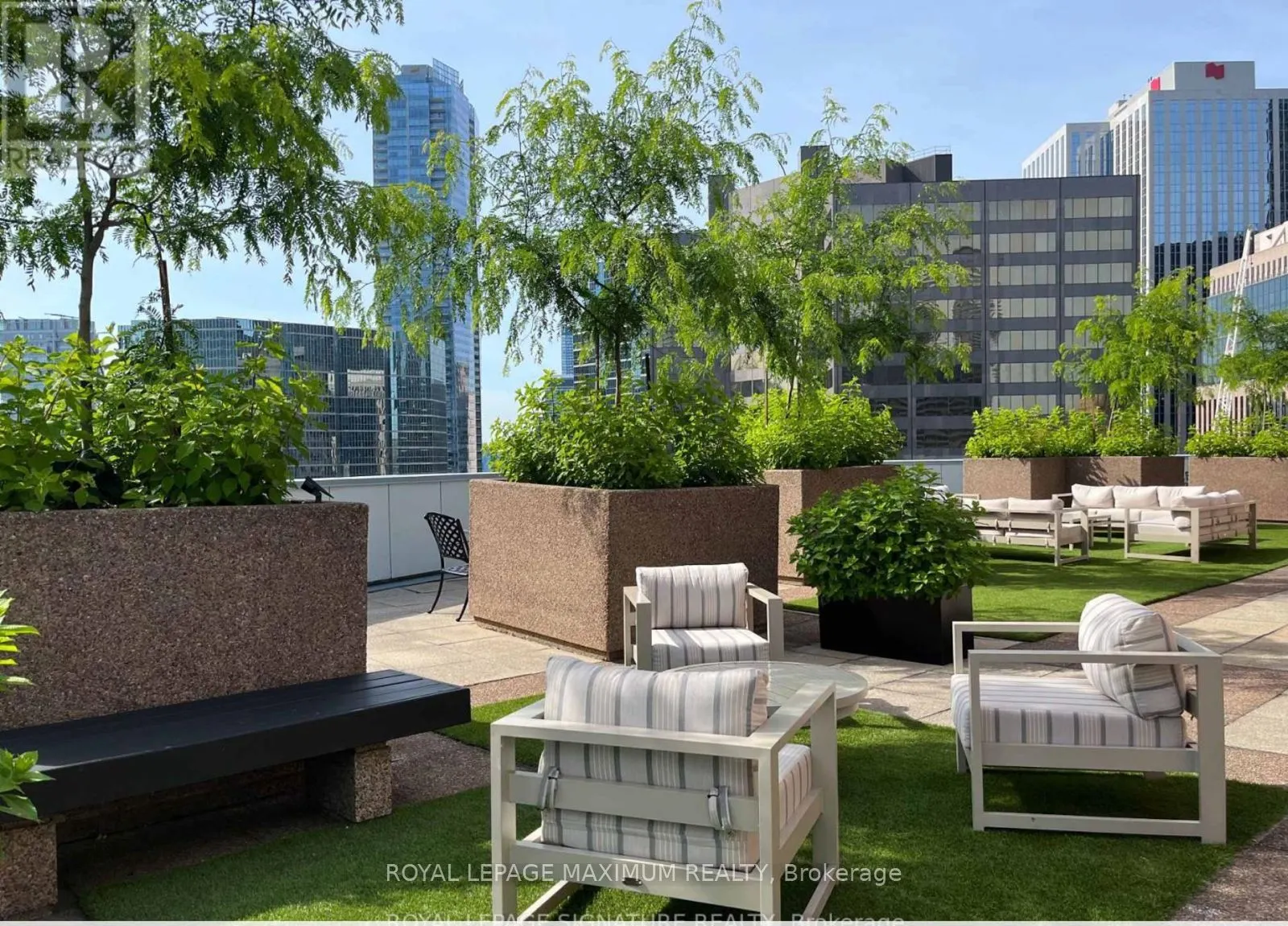 33 University Avenue, #204