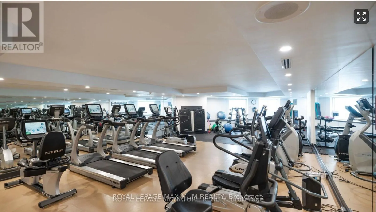 33 University Avenue, #204